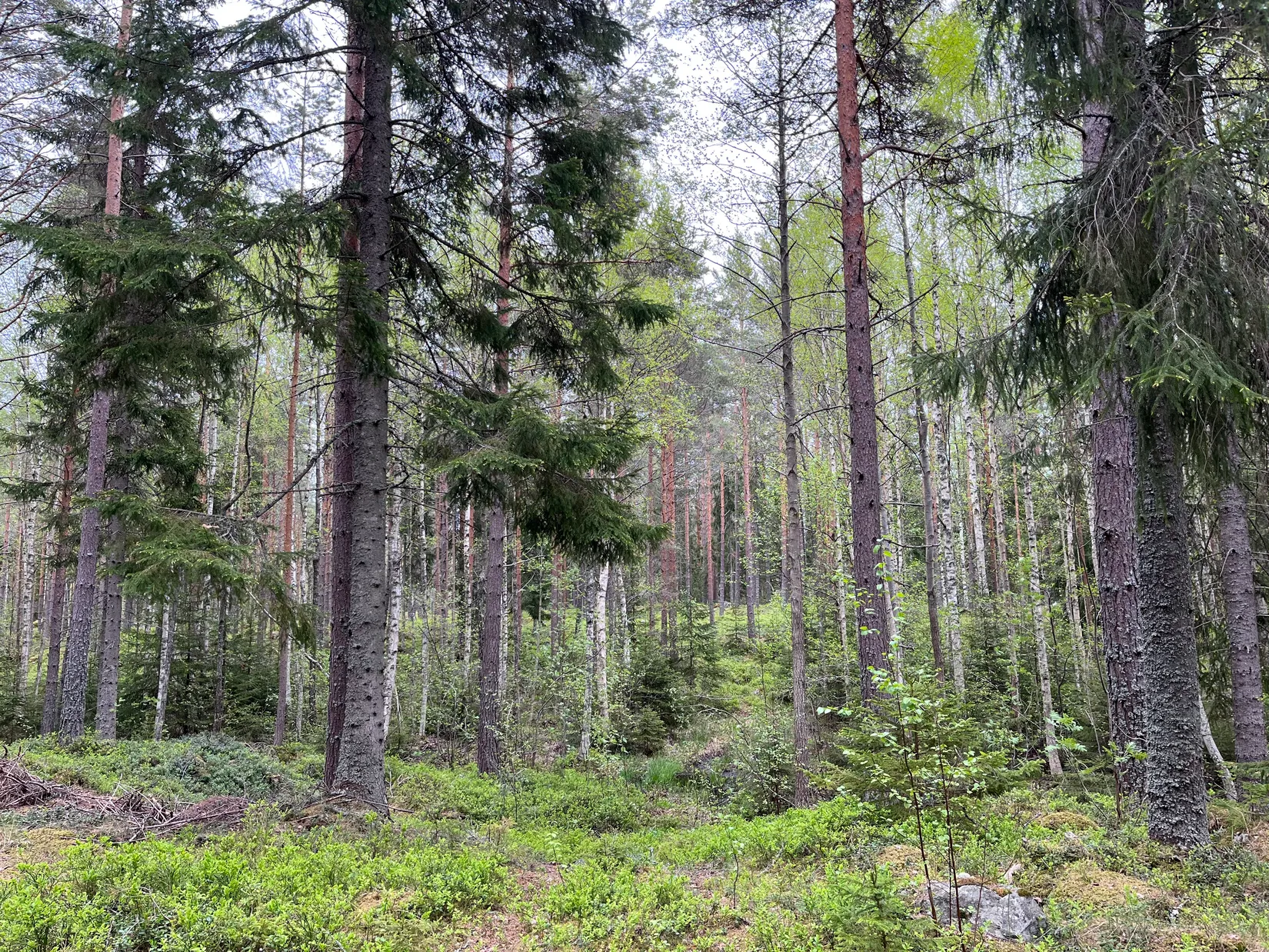 Gård/Skog, GÄVLE VARVA 2:47, Gävle