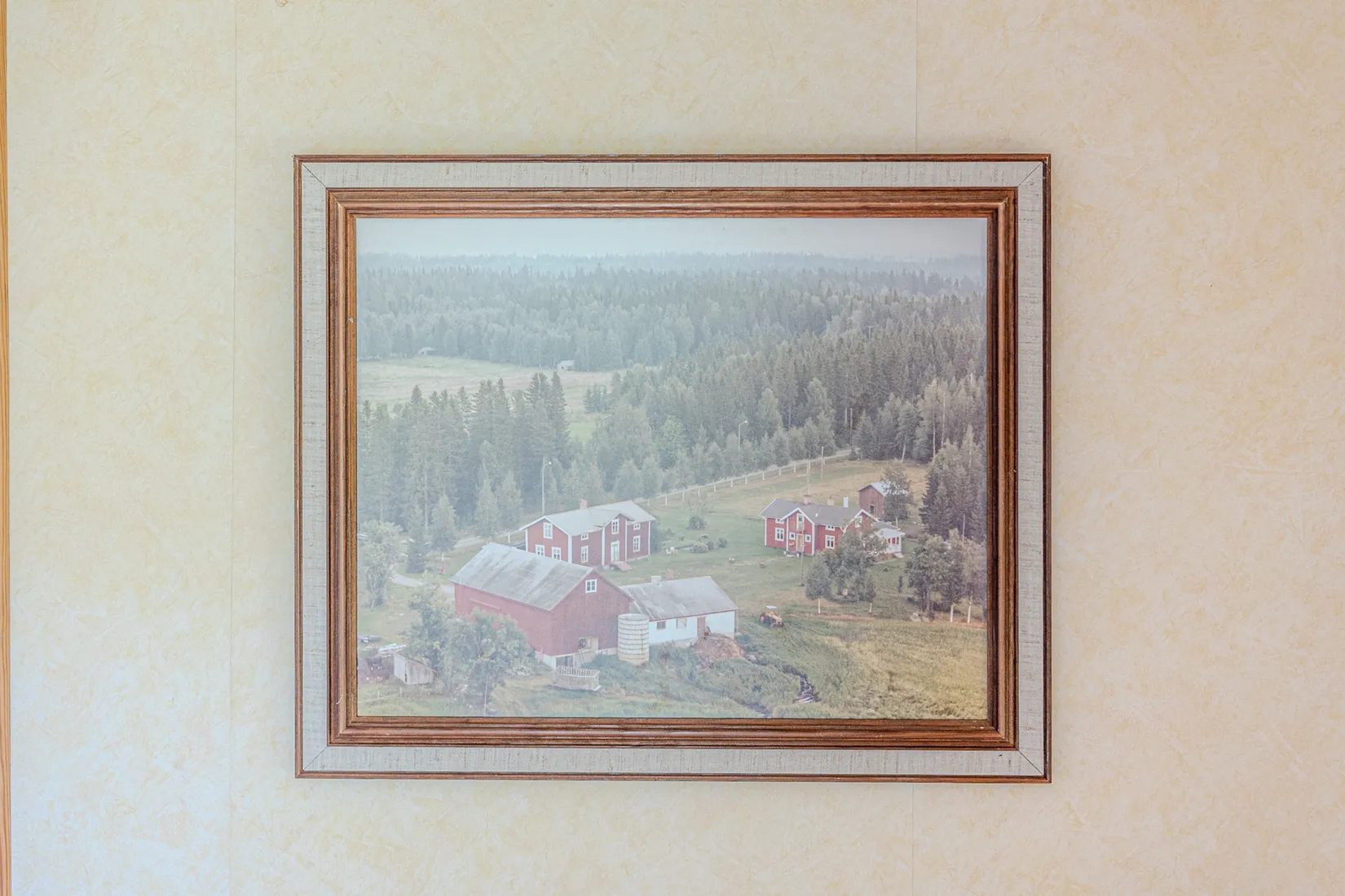 Gård/Skog, Fjälbyn 1113, Fjälbyn, Skellefteå
