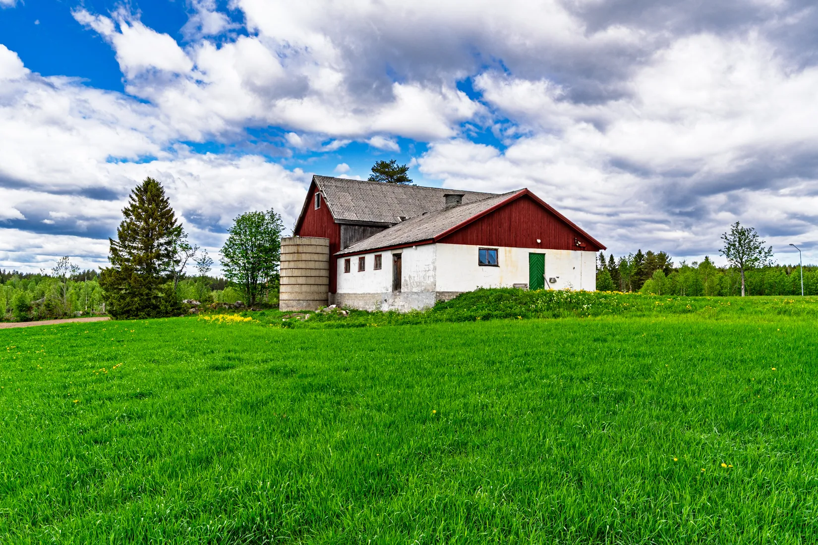 Gård/Skog, Fjälbyn 1113, Fjälbyn, Skellefteå
