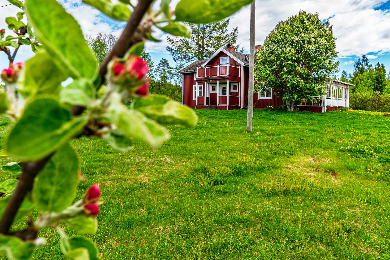 Gård/Skog, Fjälbyn 1113, Fjälbyn, Skellefteå