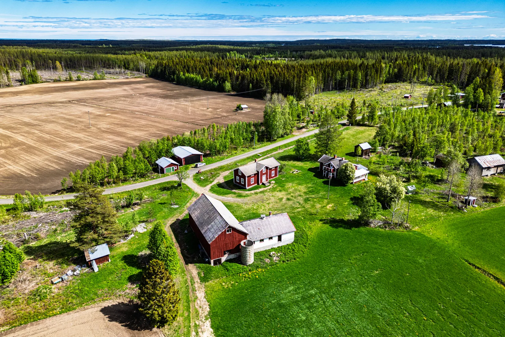 Gård/Skog, Fjälbyn 1113, Fjälbyn, Skellefteå