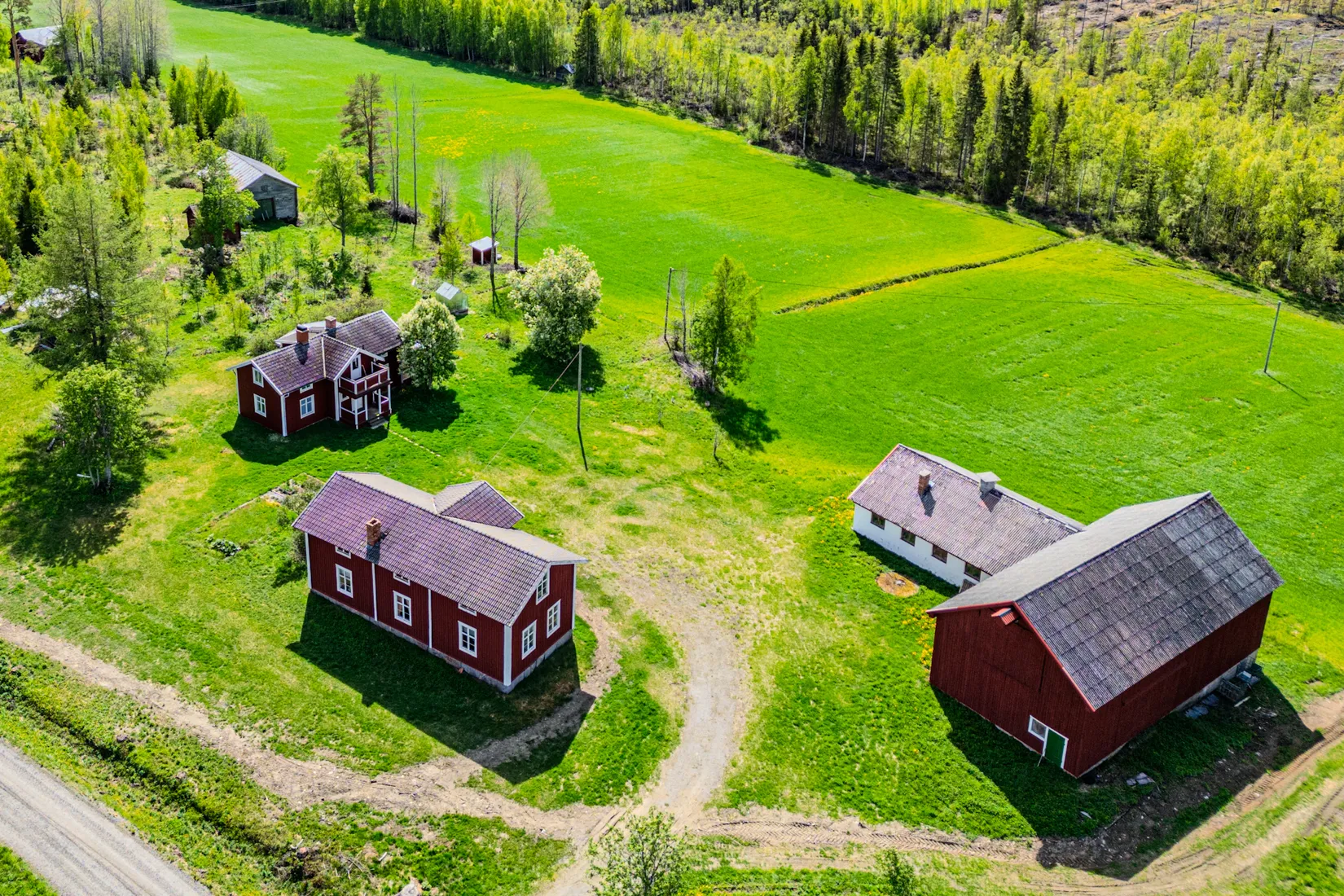 Gård/Skog, Fjälbyn 1113, Fjälbyn, Skellefteå