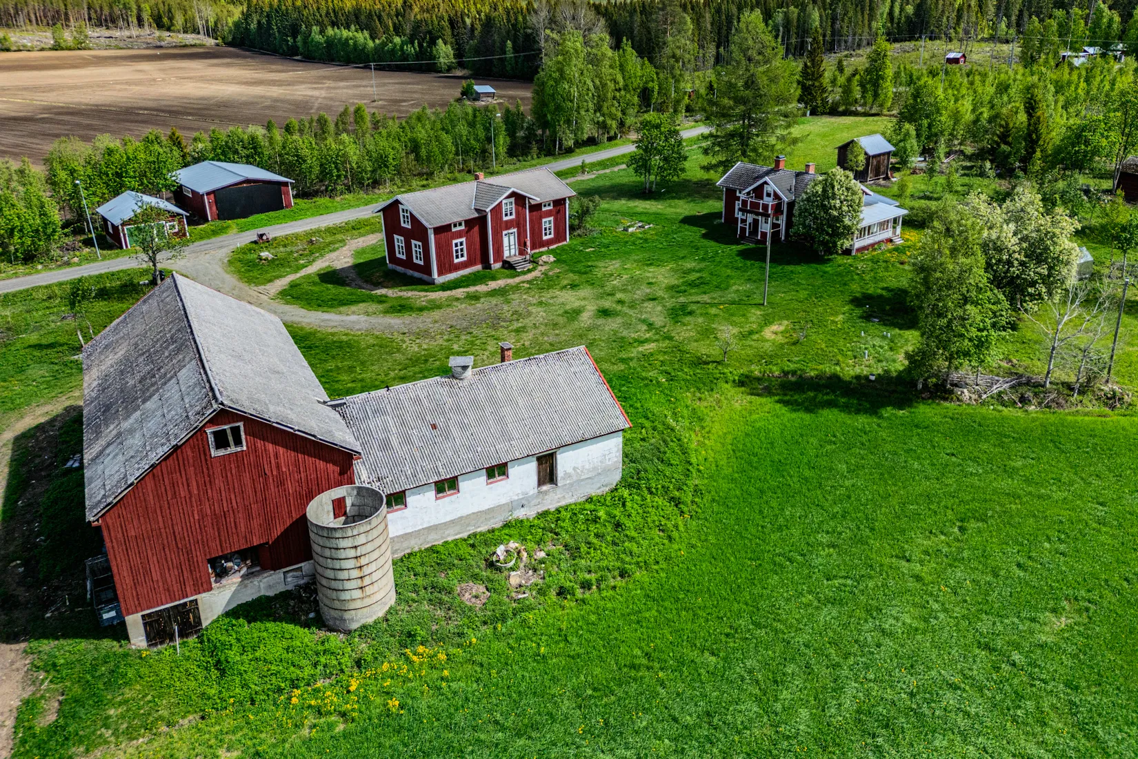 Gård/Skog, Fjälbyn 1113, Fjälbyn, Skellefteå