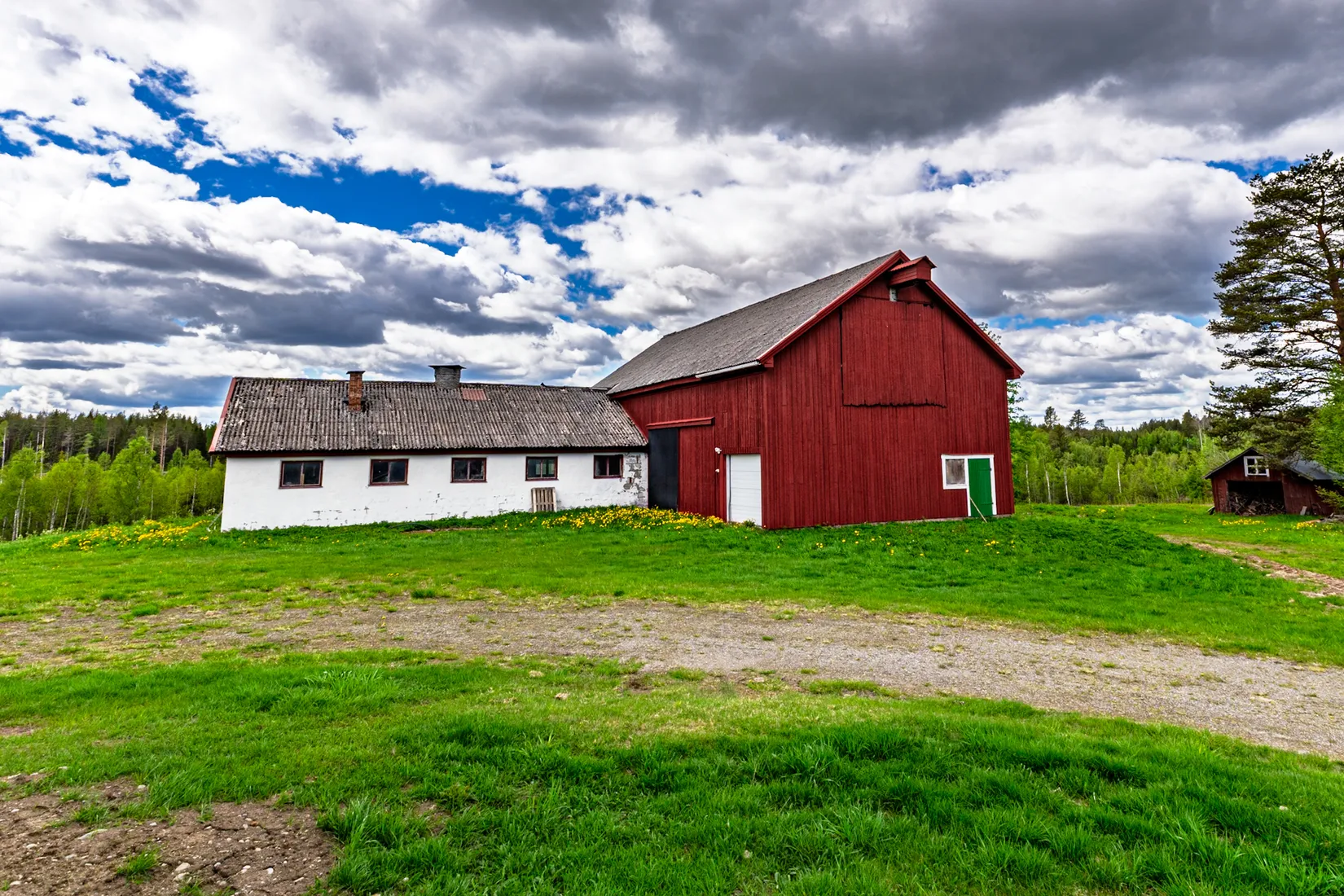 Gård/Skog, Fjälbyn 1113, Fjälbyn, Skellefteå