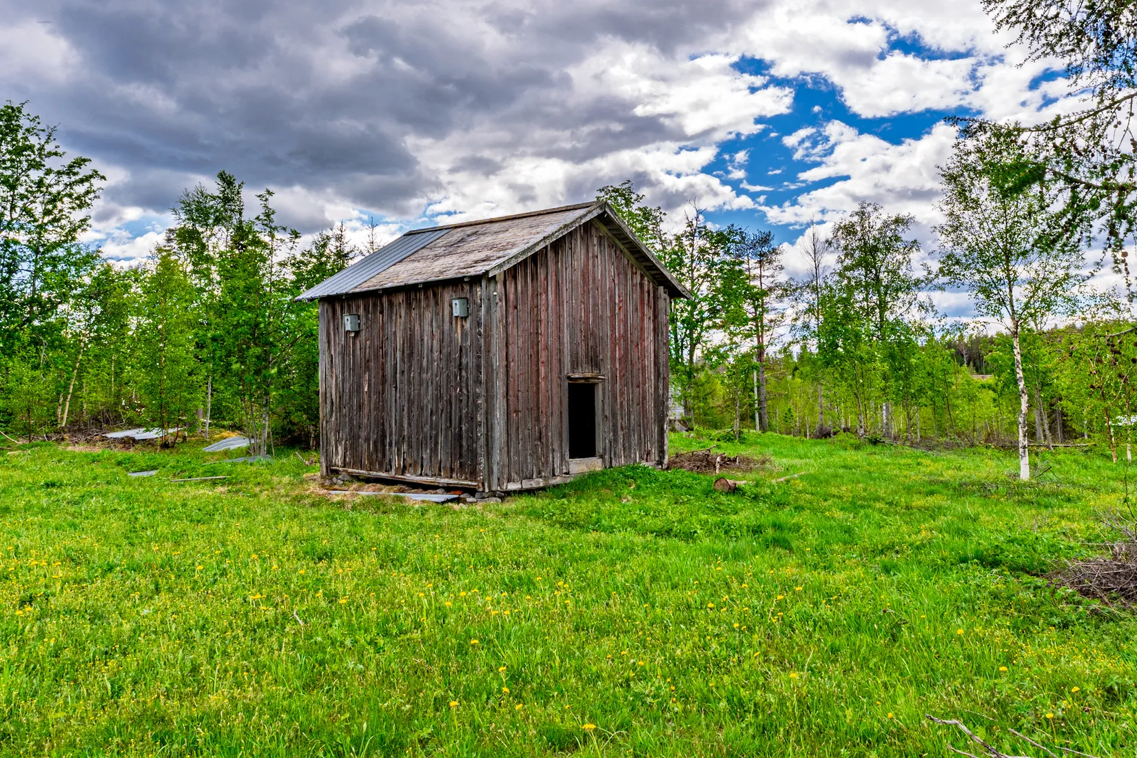 Gård/Skog, Fjälbyn 1113, Fjälbyn, Skellefteå
