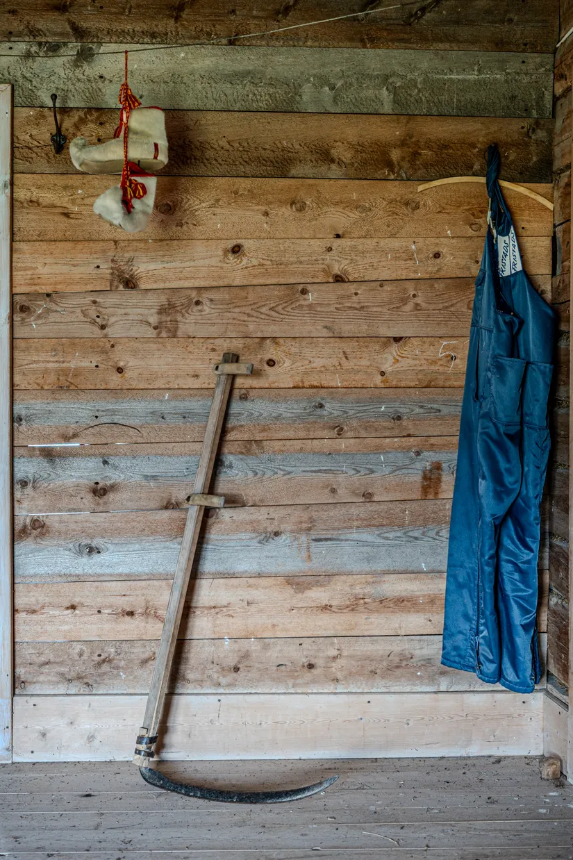 Gård/Skog, Fjälbyn 1113, Fjälbyn, Skellefteå