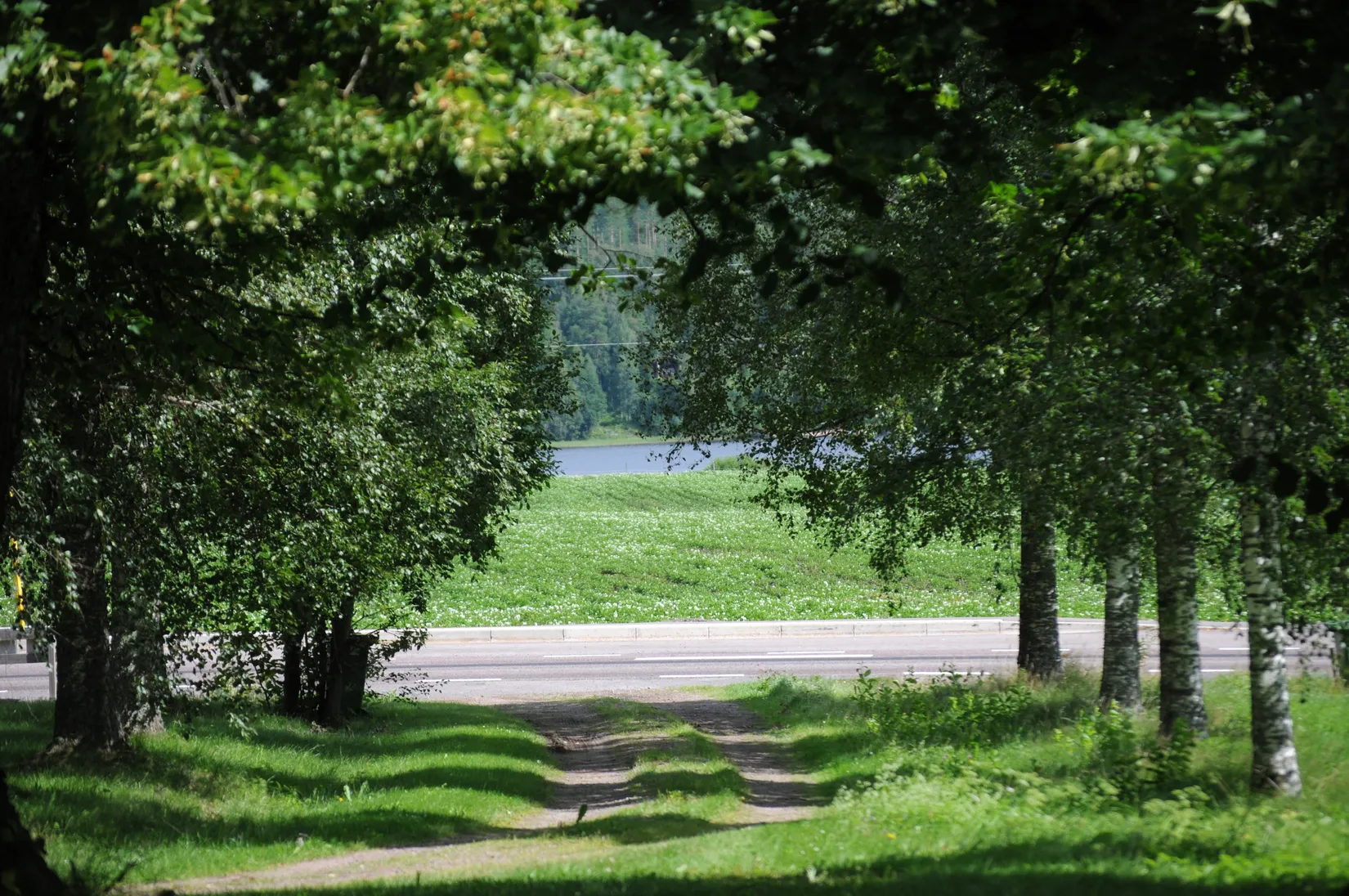Gård/Skog, Duvenäs Norra Bäcken, Hagfors