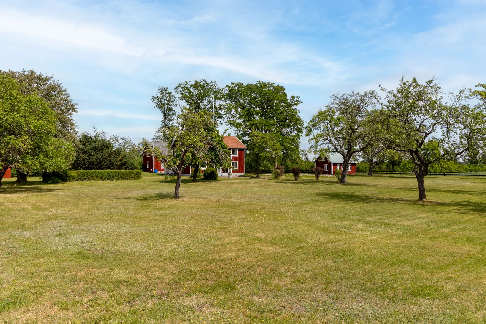 Gård/Skog, Källtorp 113, Värlebo, Högsby
