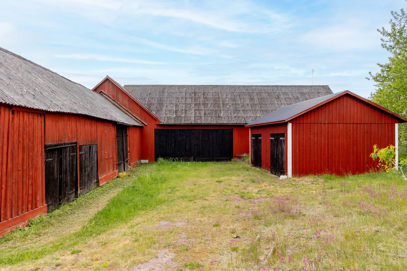 Gård/Skog, Källtorp 113, Värlebo, Högsby