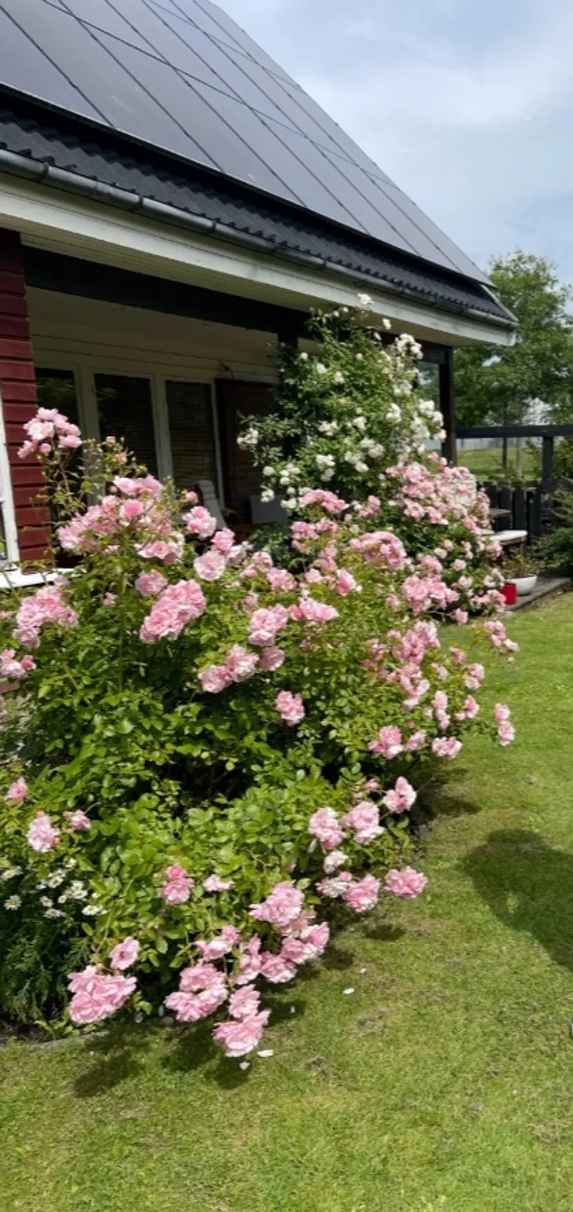 Villa, Radhus, Bladspinnaregatan 29, Bunkeflostrand, Malmö