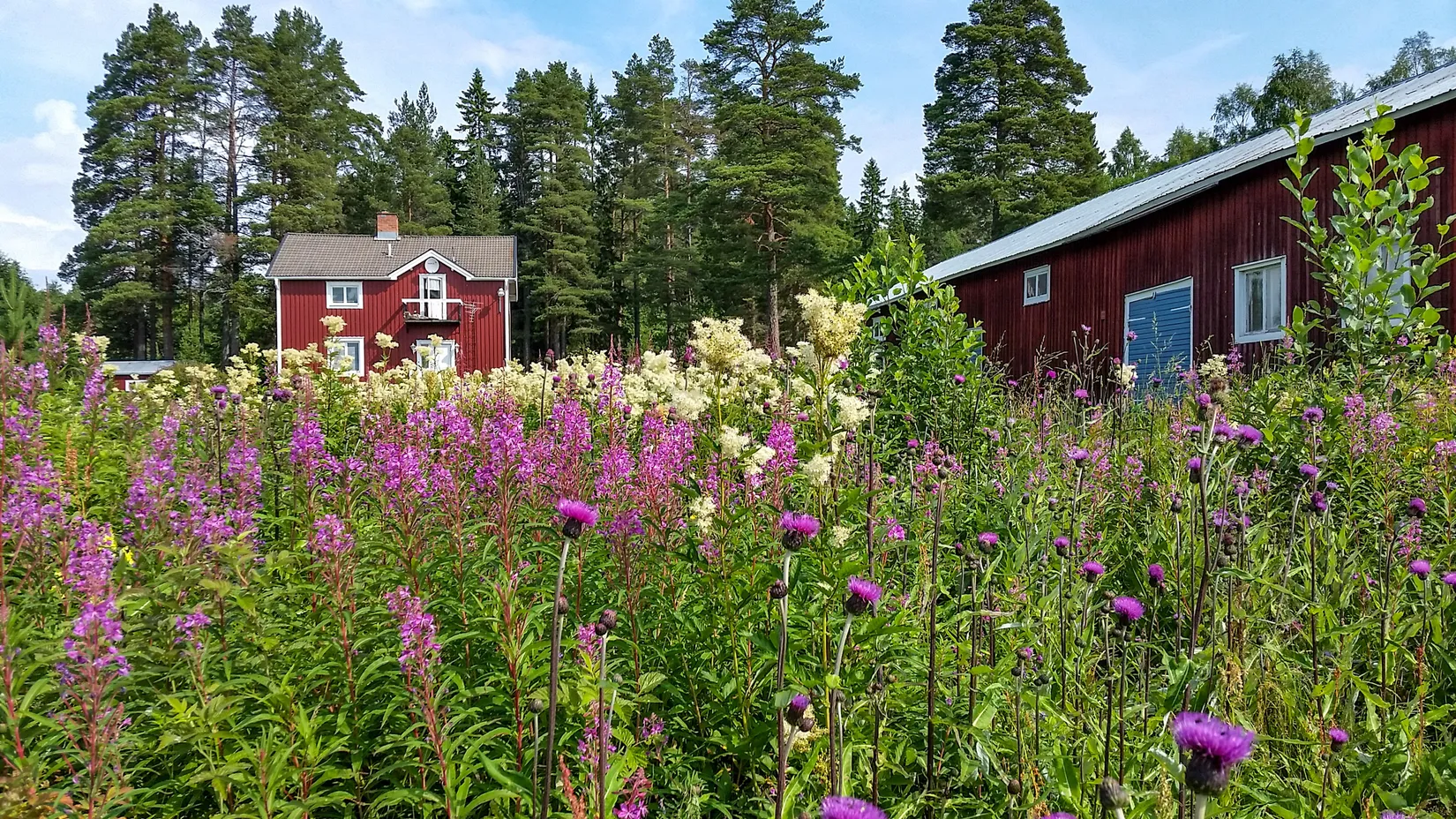 Villa, Fällbäcken 13, Skellefteå