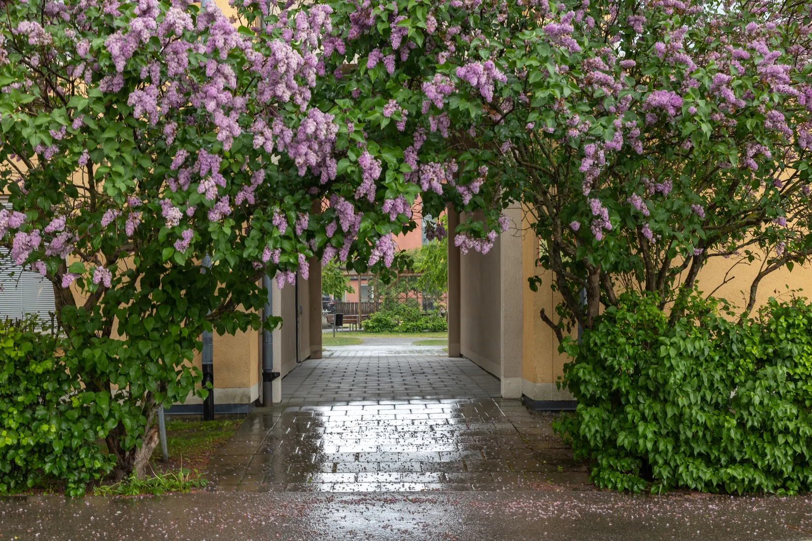 Bostadsrätt, Salagatan 21, Spånga - Solhem, Stockholm