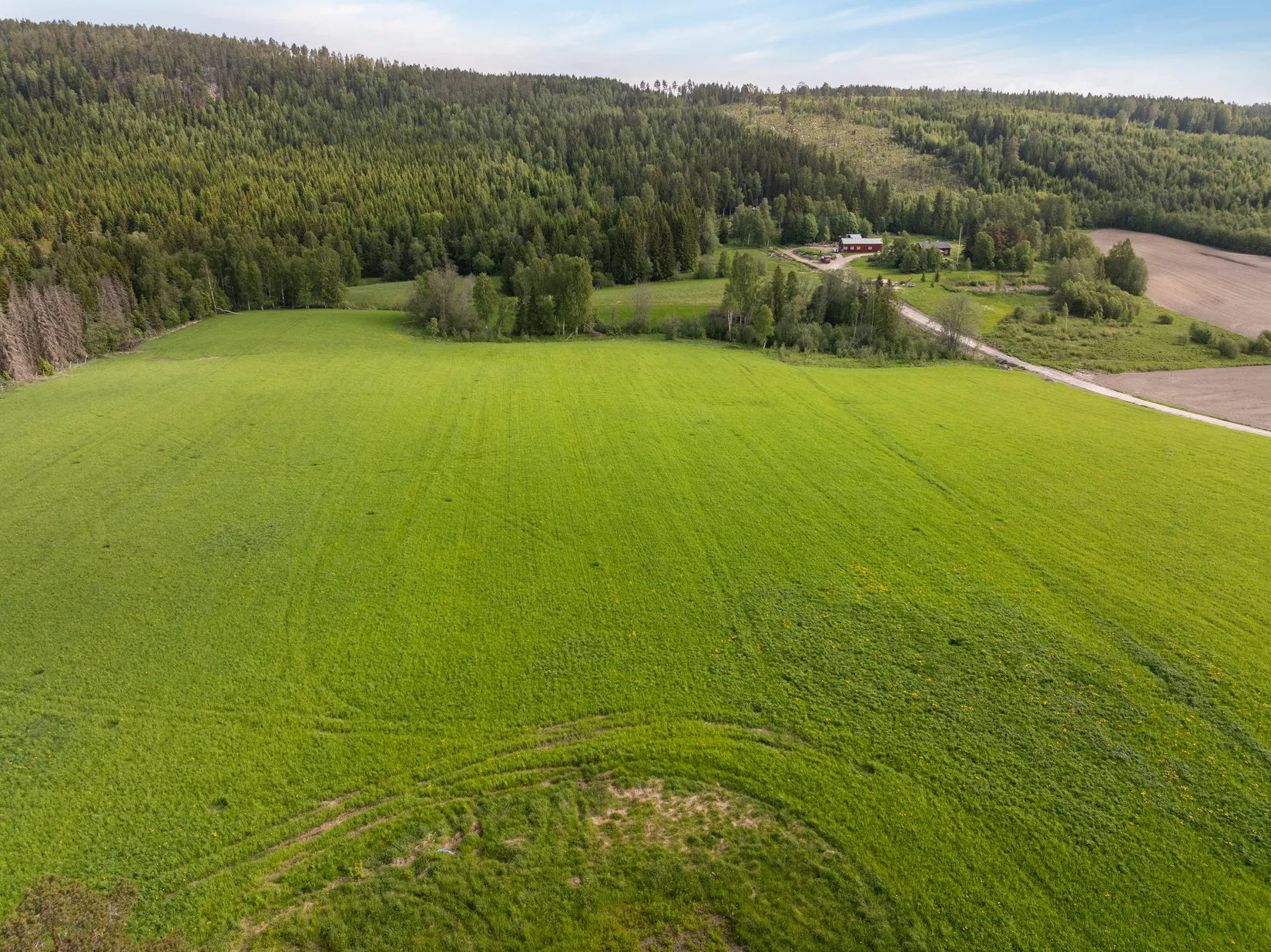 Gård/Skog, Indalsvägen 60, Indal, Sundsvall