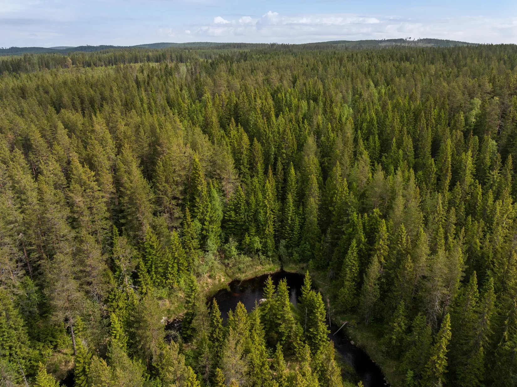 Gård/Skog, Indalsvägen 60, Indal, Sundsvall