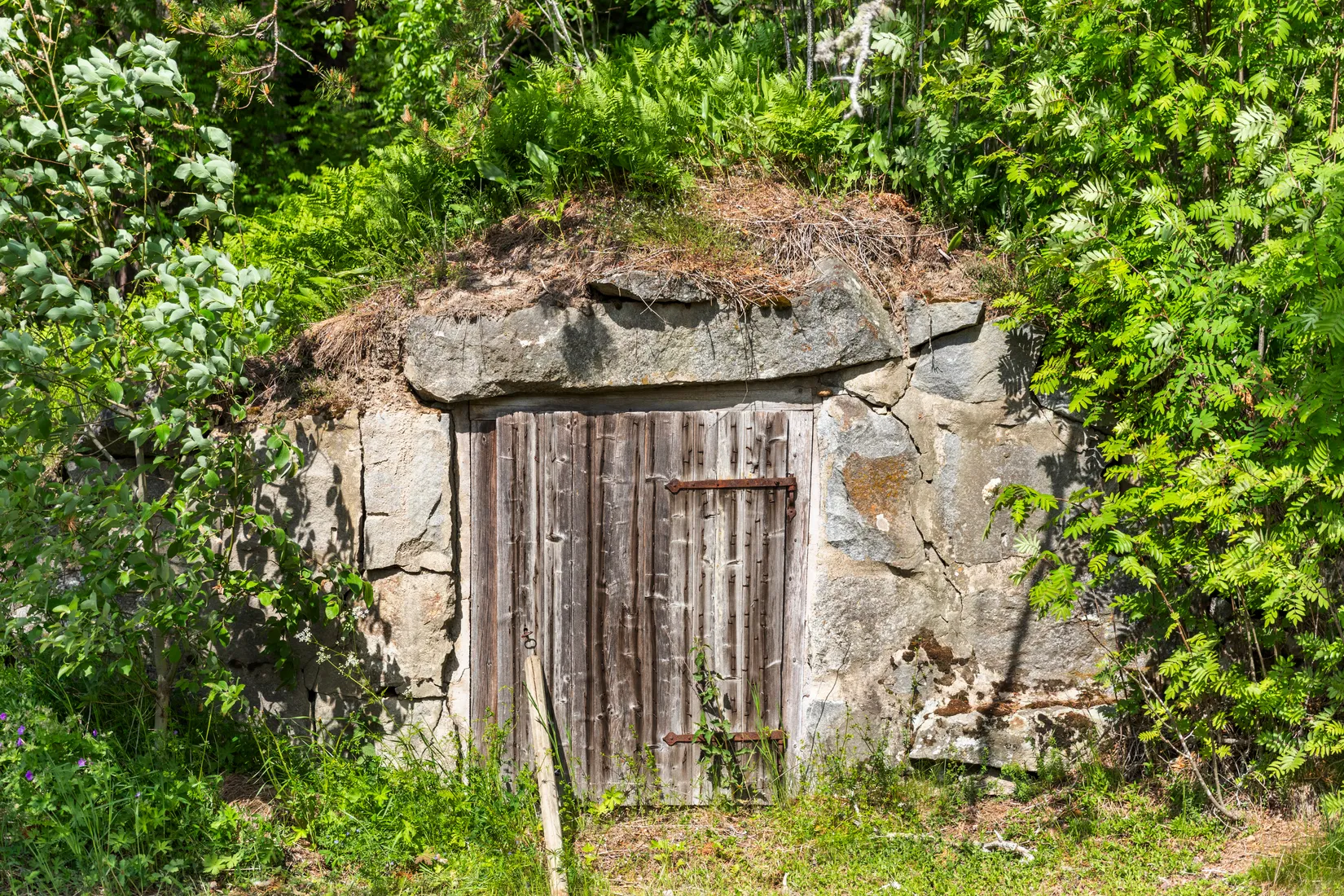 Gård/Skog, Indalsvägen 60, Indal, Sundsvall
