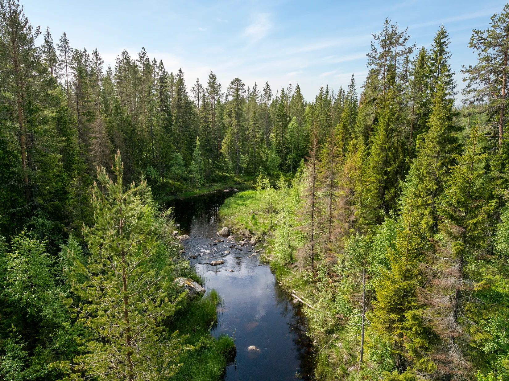Gård/Skog, Indalsvägen 60, Indal, Sundsvall