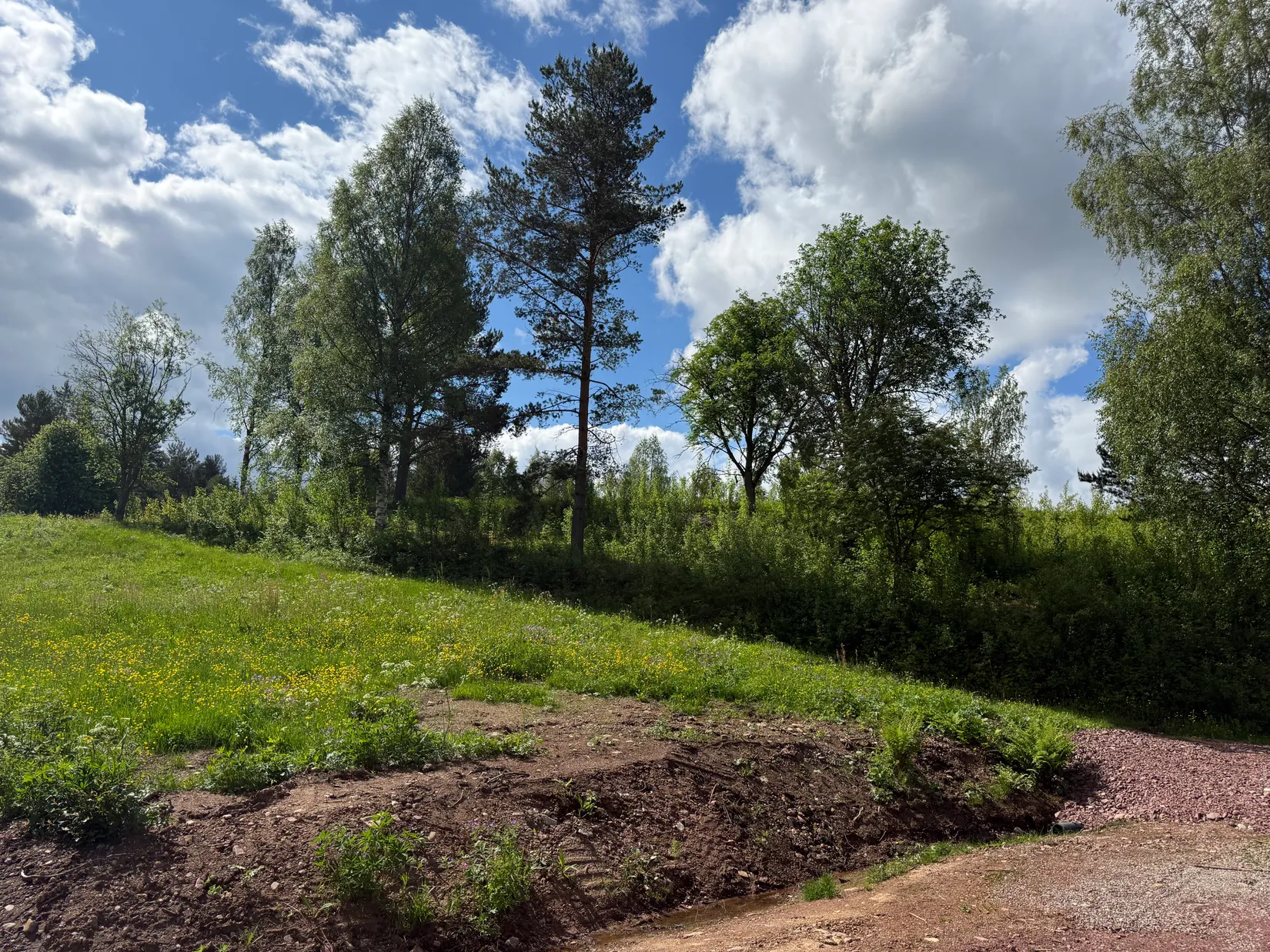 Tomt, Vasaloppsvägen 823, Oxberg, Mora