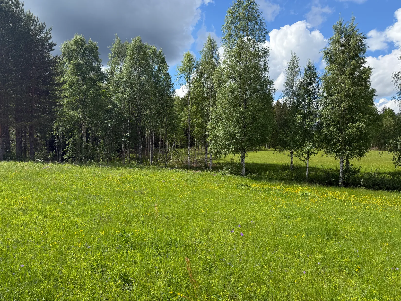 Tomt, Vasaloppsvägen 823, Oxberg, Mora