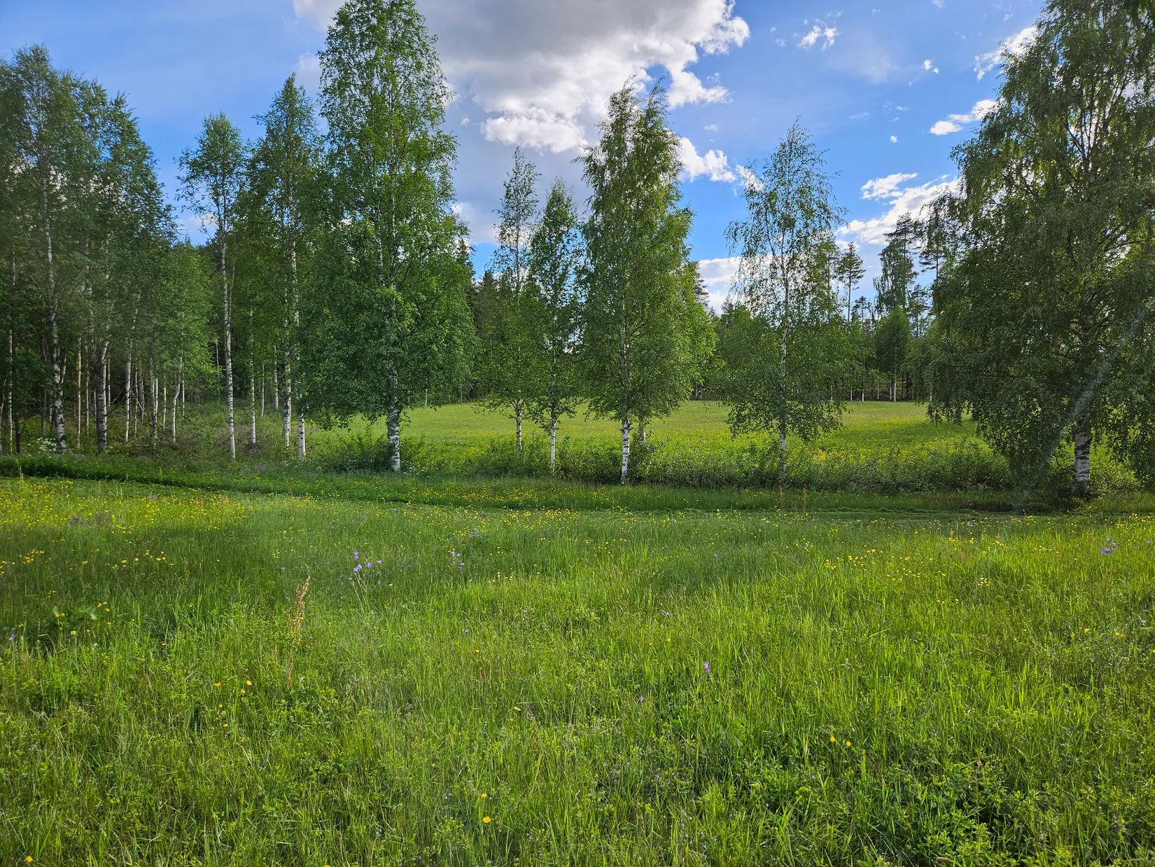 Tomt, Vasaloppsvägen 823, Oxberg, Mora
