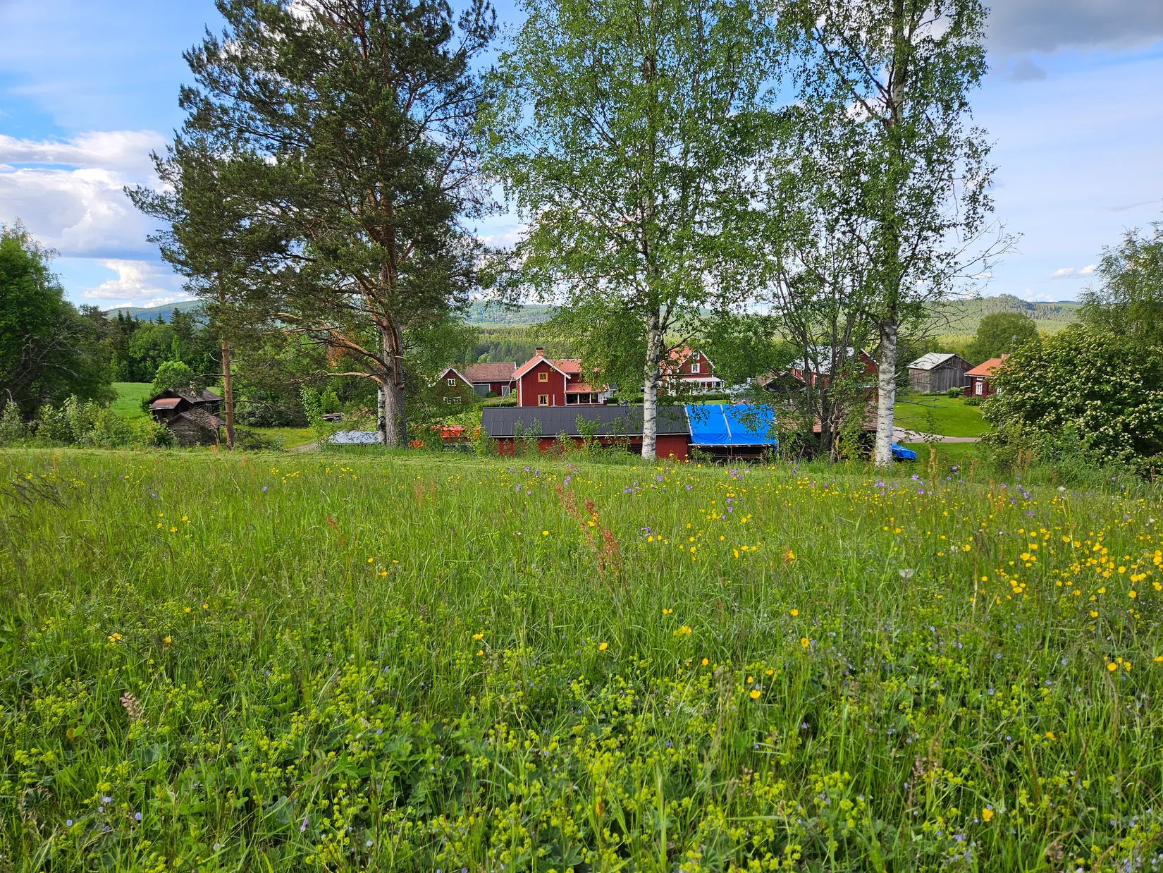 Tomt, Vasaloppsvägen 823, Oxberg, Mora