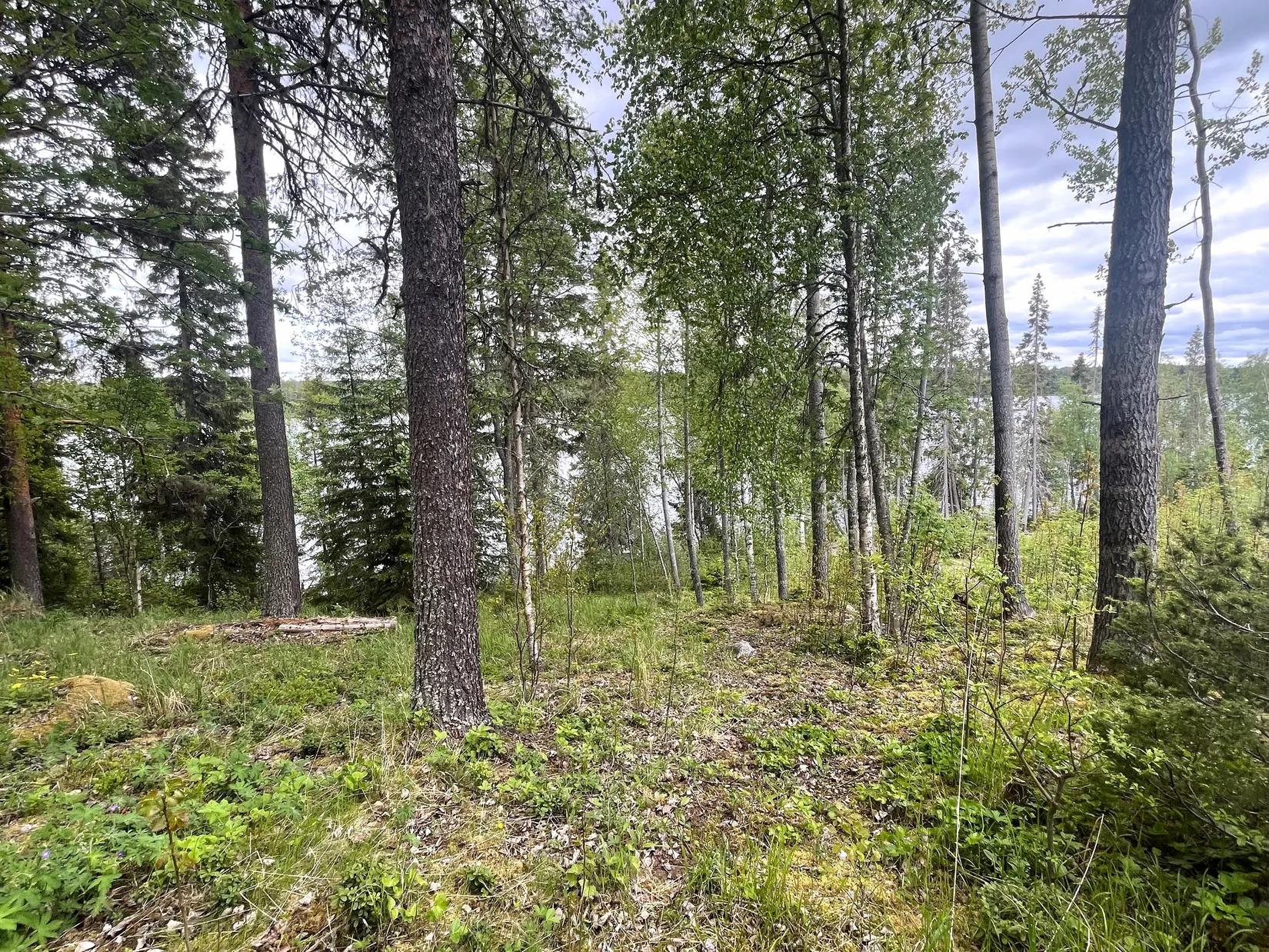 Fritidshus, Slåtte 205, Slåtte, Östersund