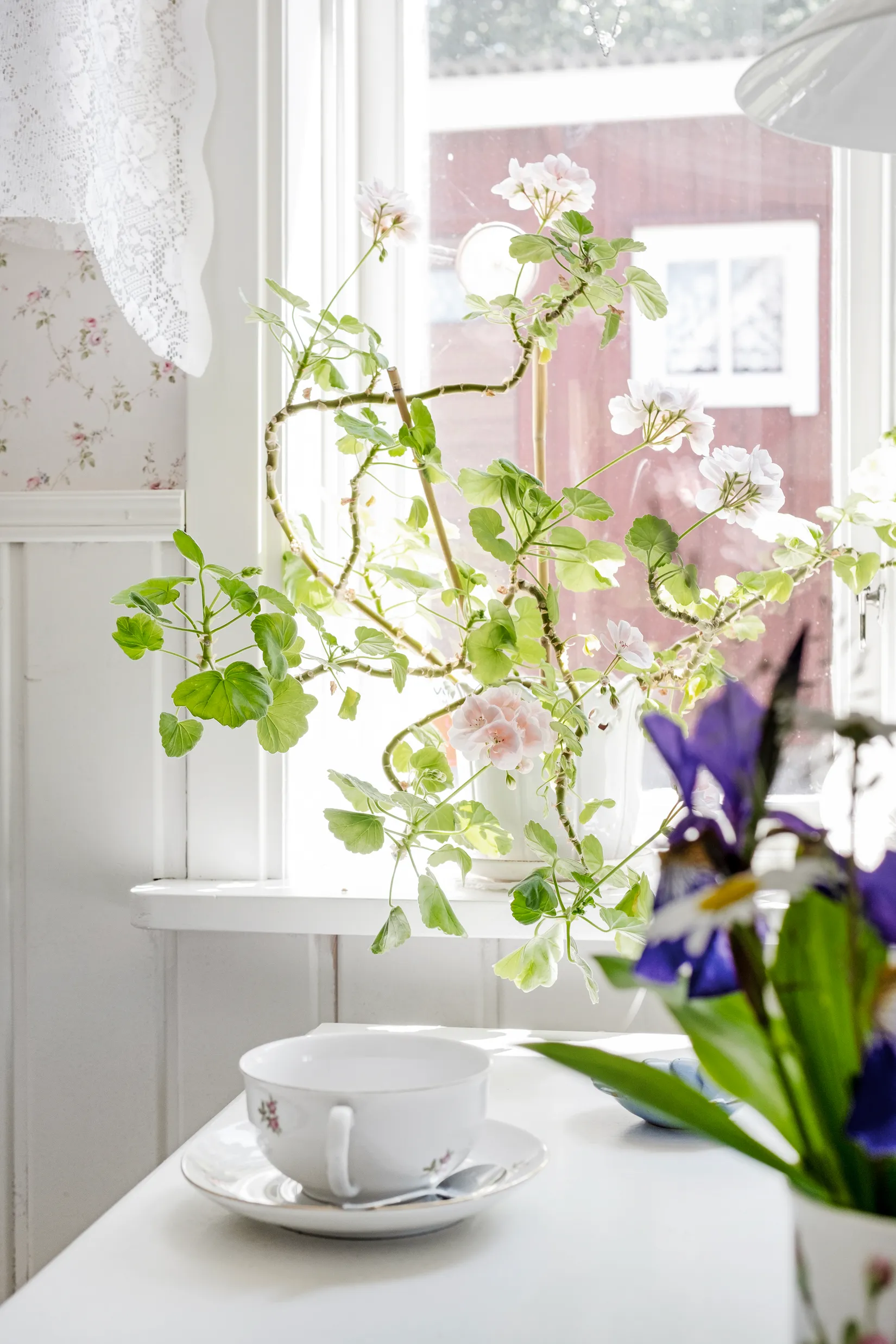 Fritidshus, Allarpsvägen 449, Allarp, Bromölla