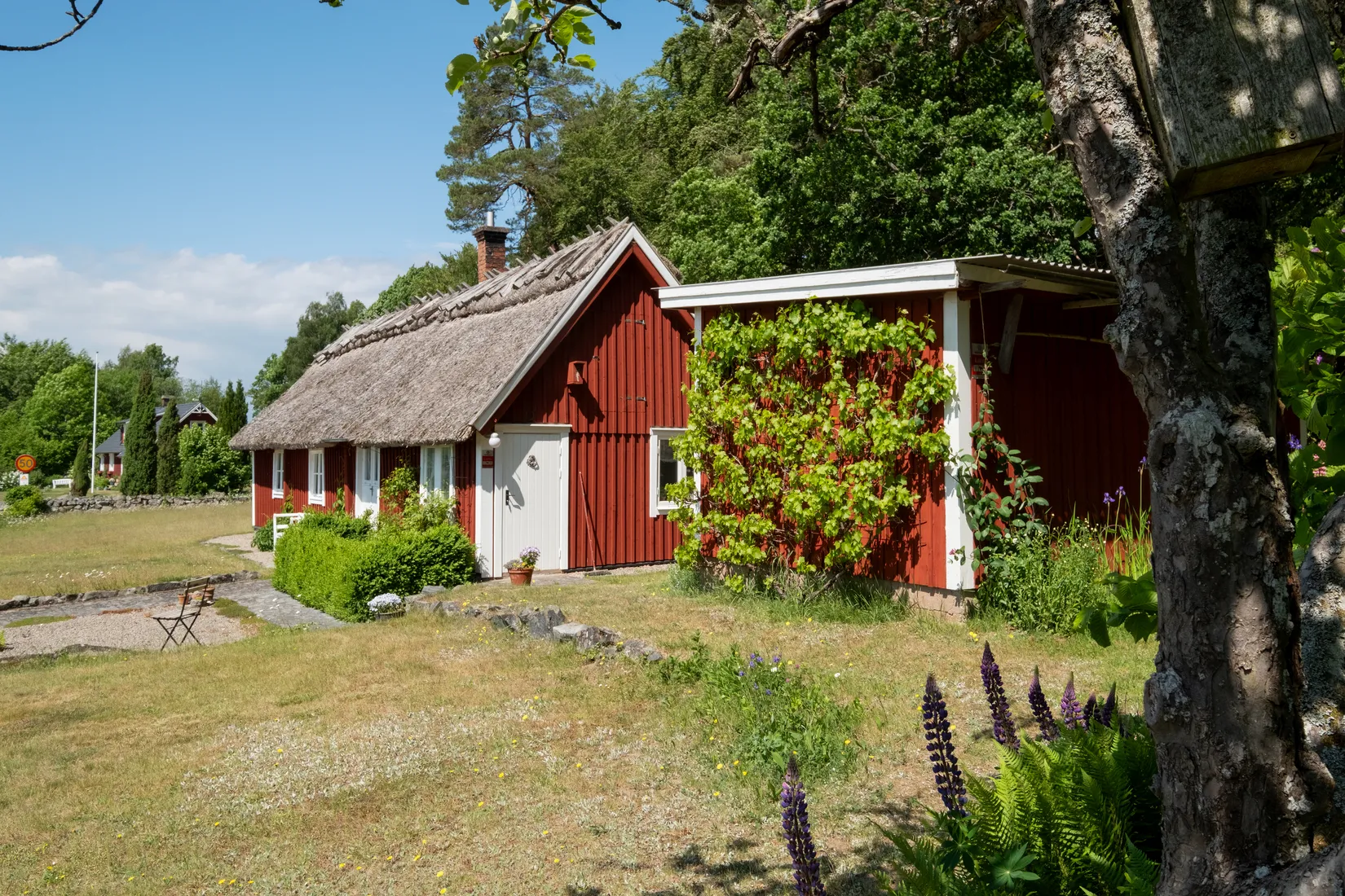 Fritidshus, Allarpsvägen 449, Allarp, Bromölla
