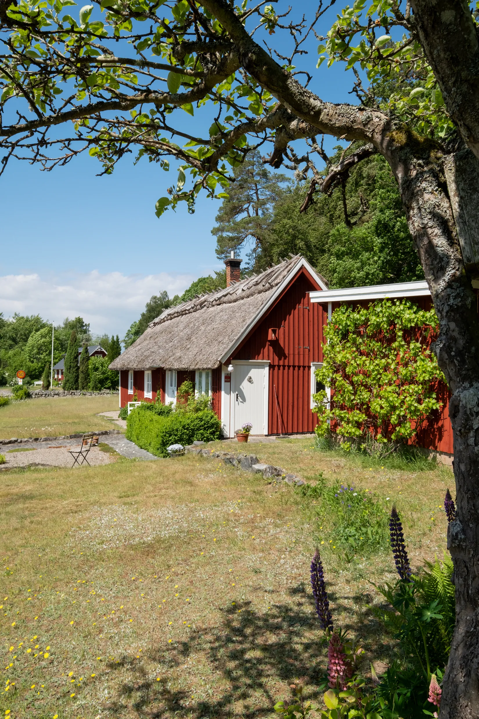 Fritidshus, Allarpsvägen 449, Allarp, Bromölla