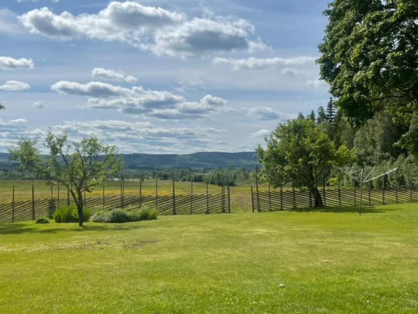 Gård/Skog, Mossberg Bergsäter, Ekshärad, Hagfors