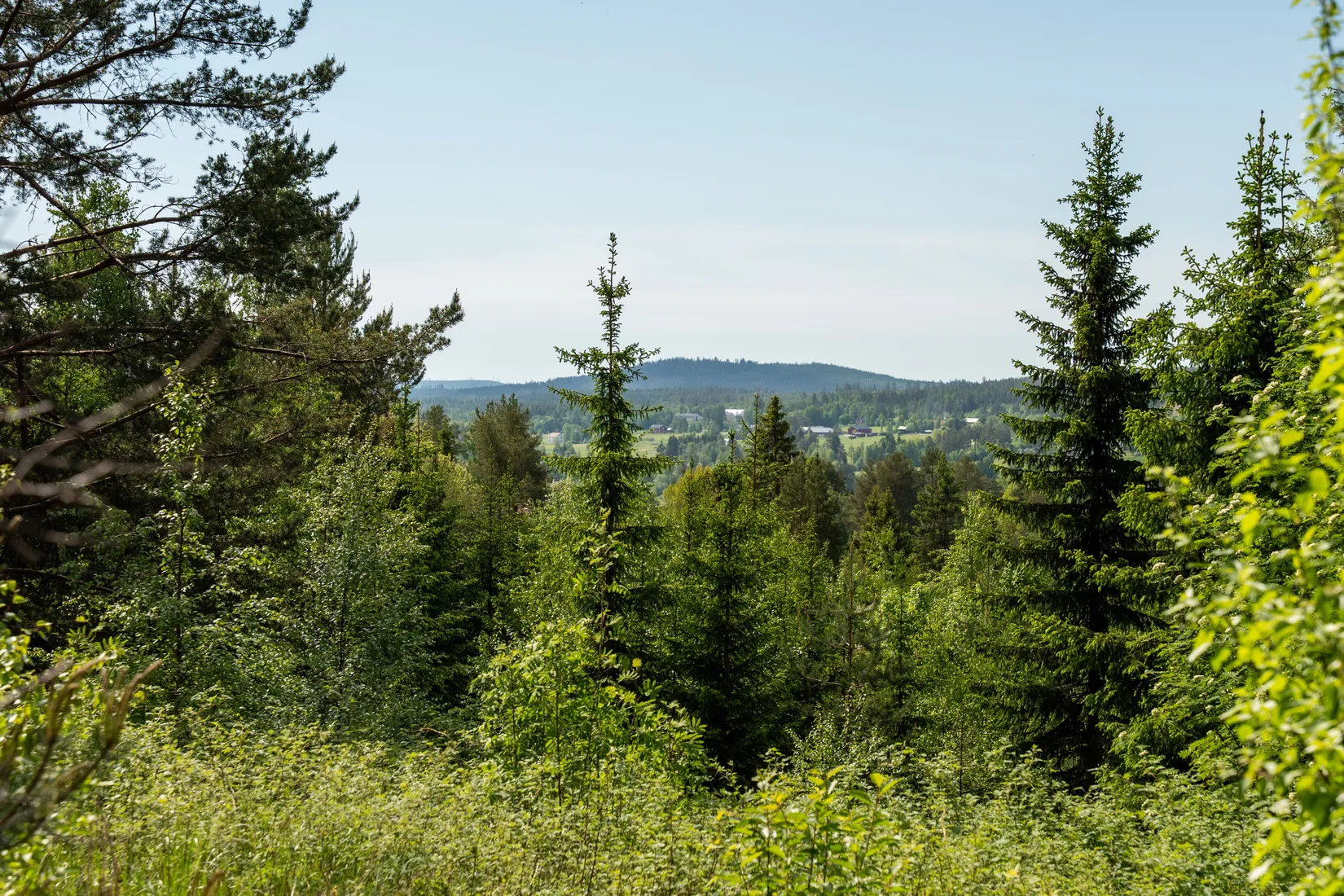 Villa, Näs 130, Sollefteå