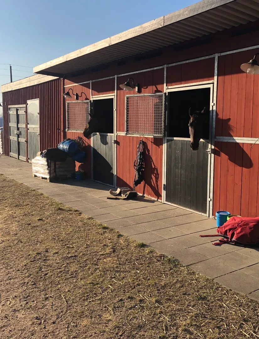 Gård/Skog, Furubodavägen 350, Kristianstad
