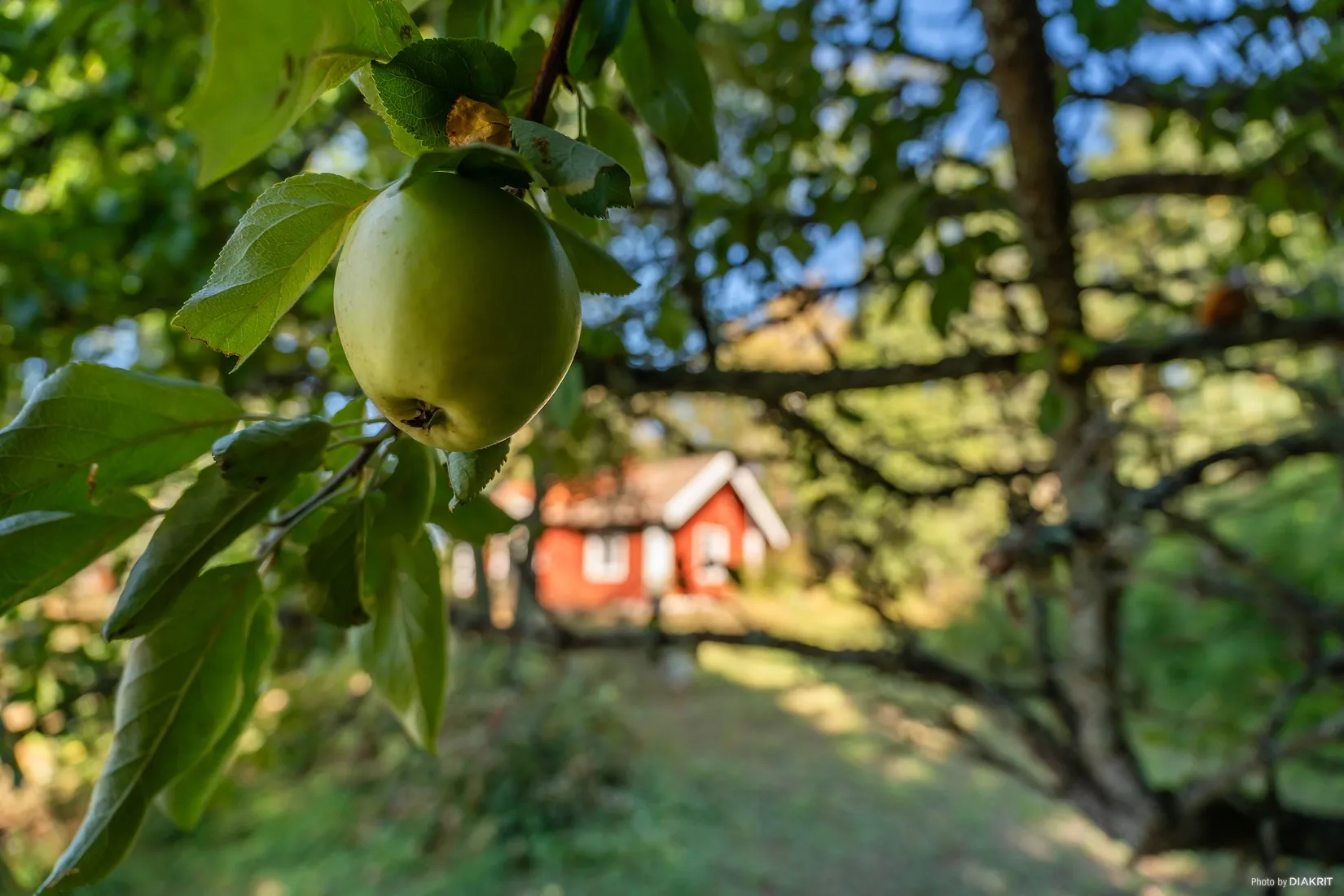Tomt, Sandbodavägen 1, Sandboda, Upplands-Bro