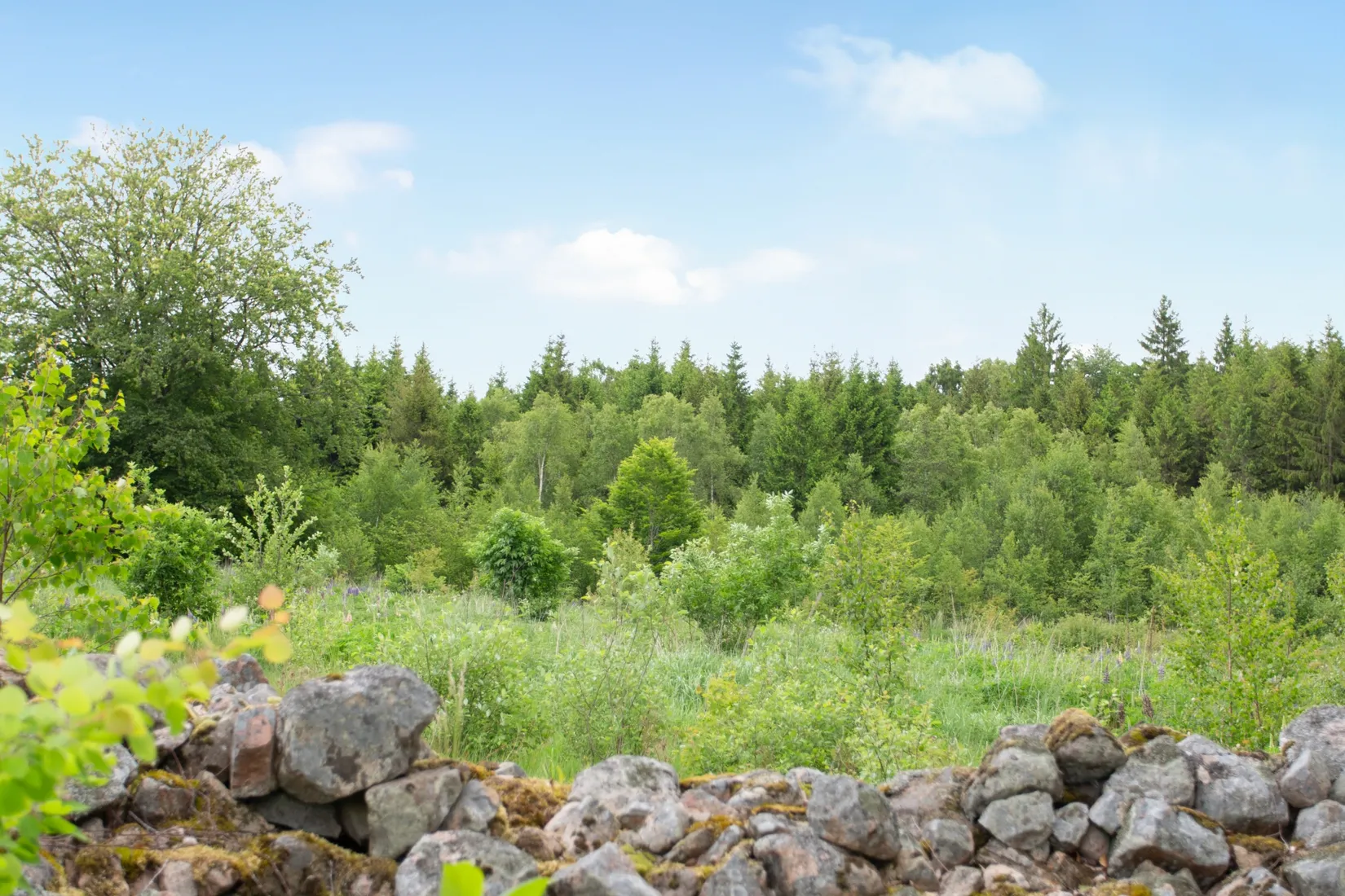 Villa, Söndrebaljsvägen 245, Hjärnarp, Ängelholm