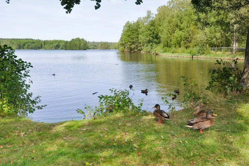 Villa, Strandvägen 5, Markaryd