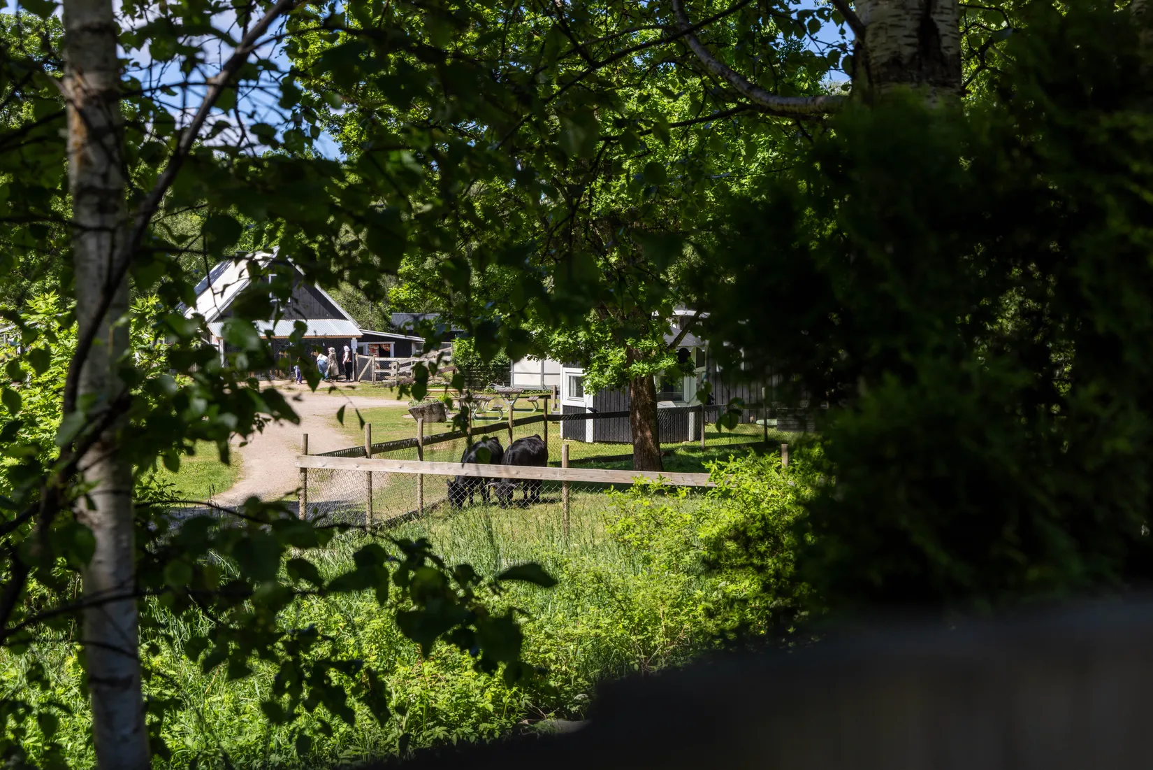 Villa, Strandvägen 5, Markaryd
