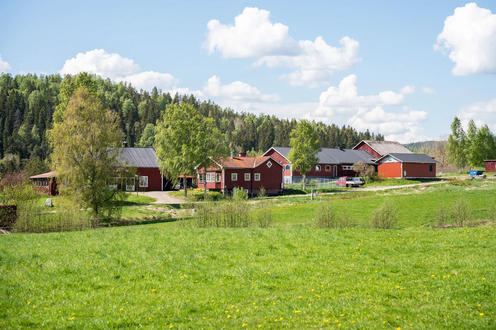 Gård/Skog, Nordanåker 325, Nyland, Kramfors