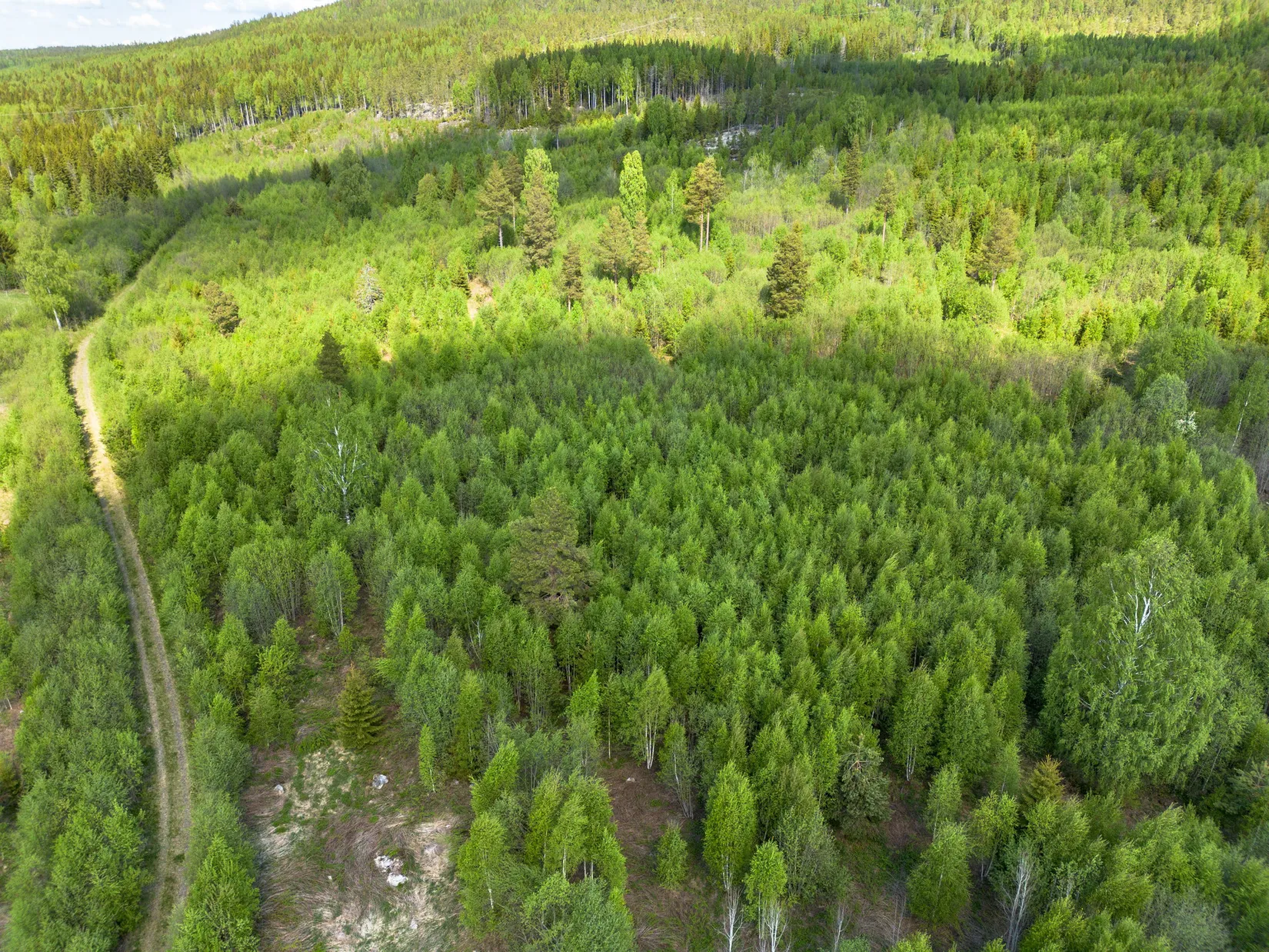 Gård/Skog, Nordanåker 325, Nyland, Kramfors