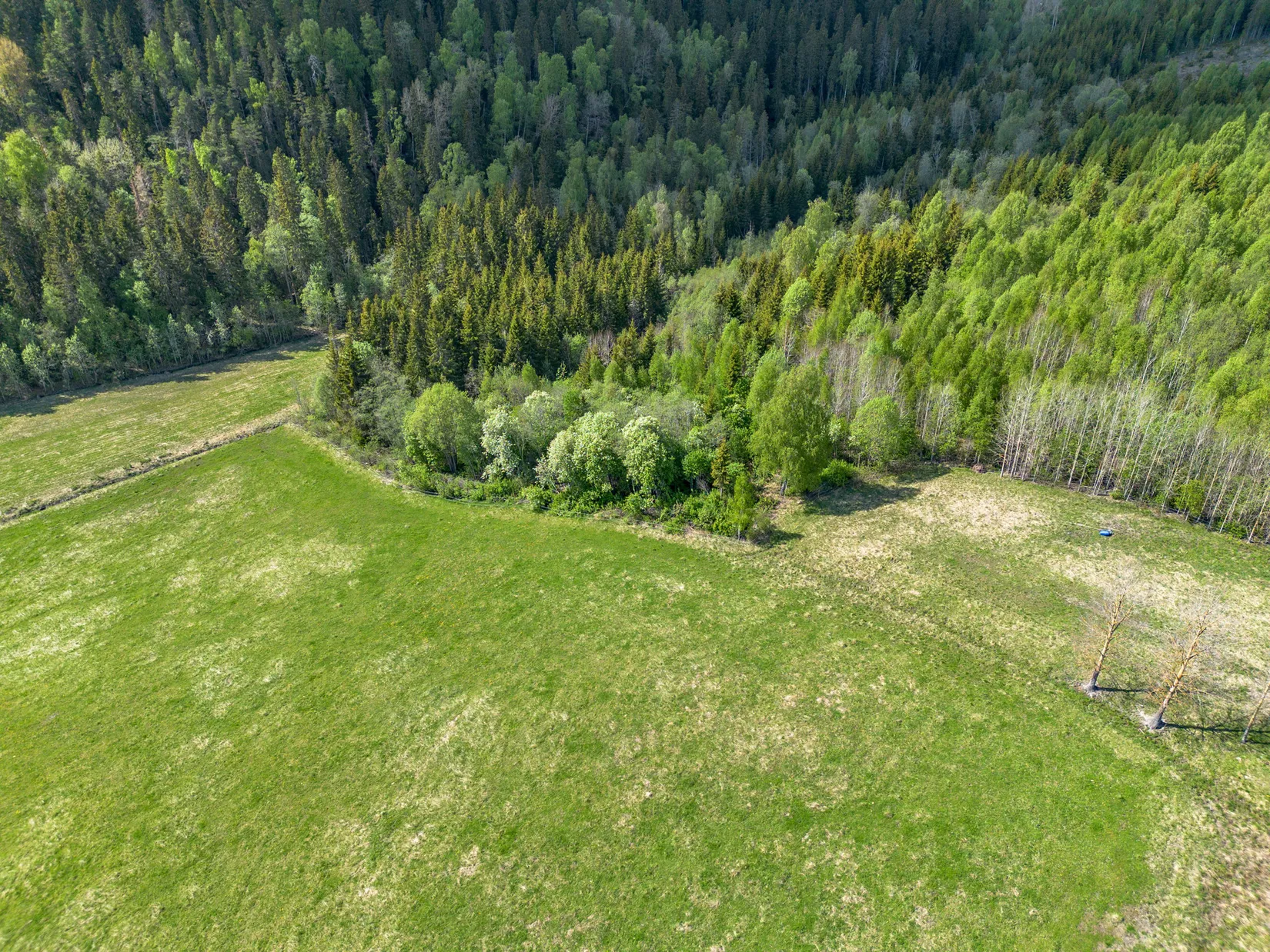 Gård/Skog, Nordanåker 325, Nyland, Kramfors