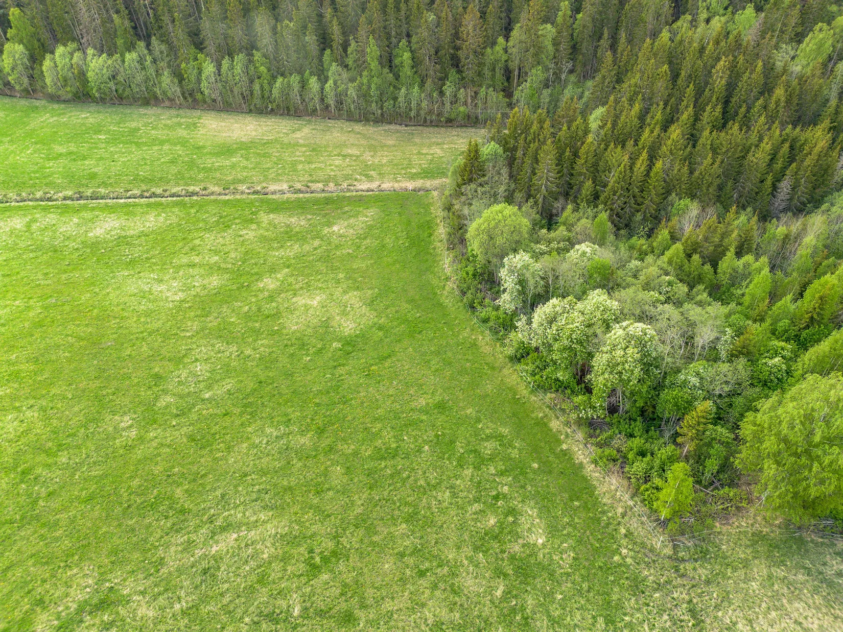 Gård/Skog, Nordanåker 325, Nyland, Kramfors