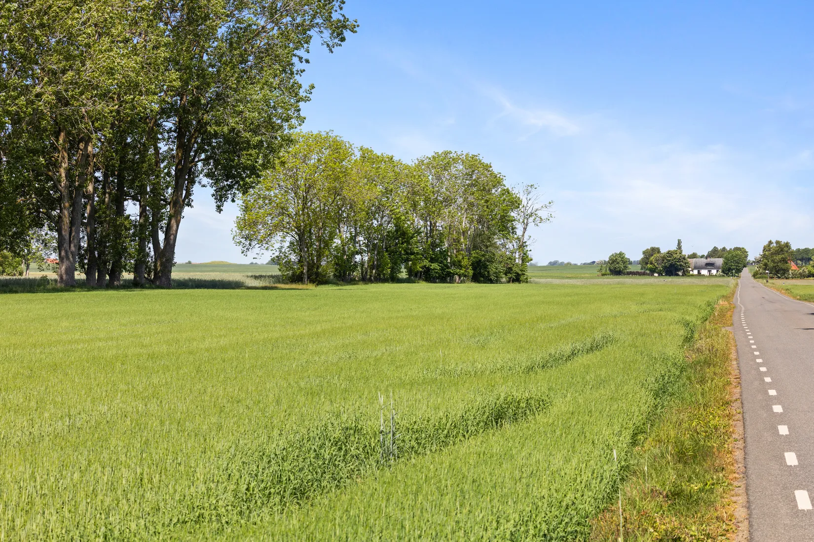 Gård/Skog, Hagestadborgsvägen 30, Hagestad, Ystad