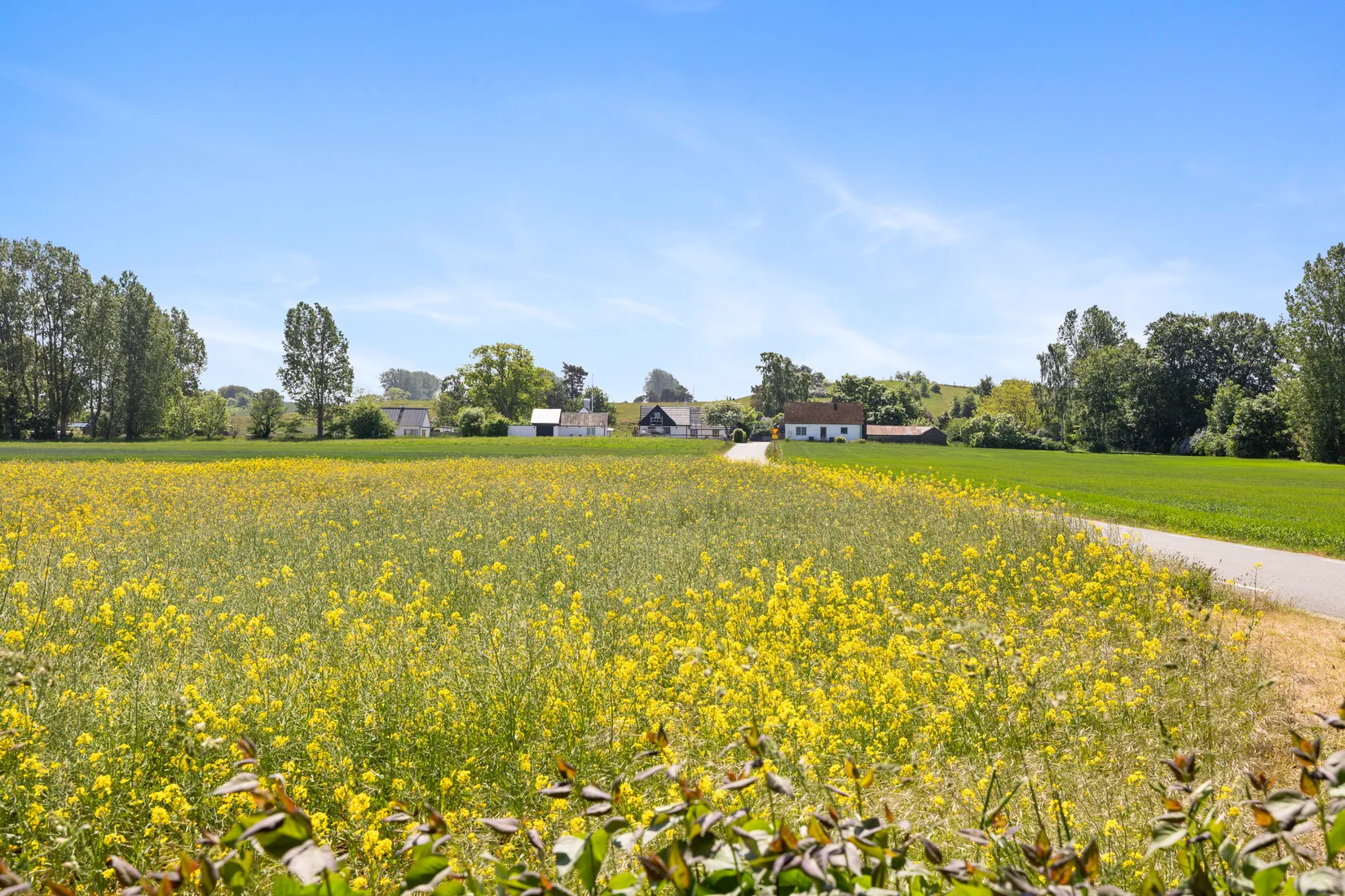Gård/Skog, Hagestadborgsvägen 30, Hagestad, Ystad