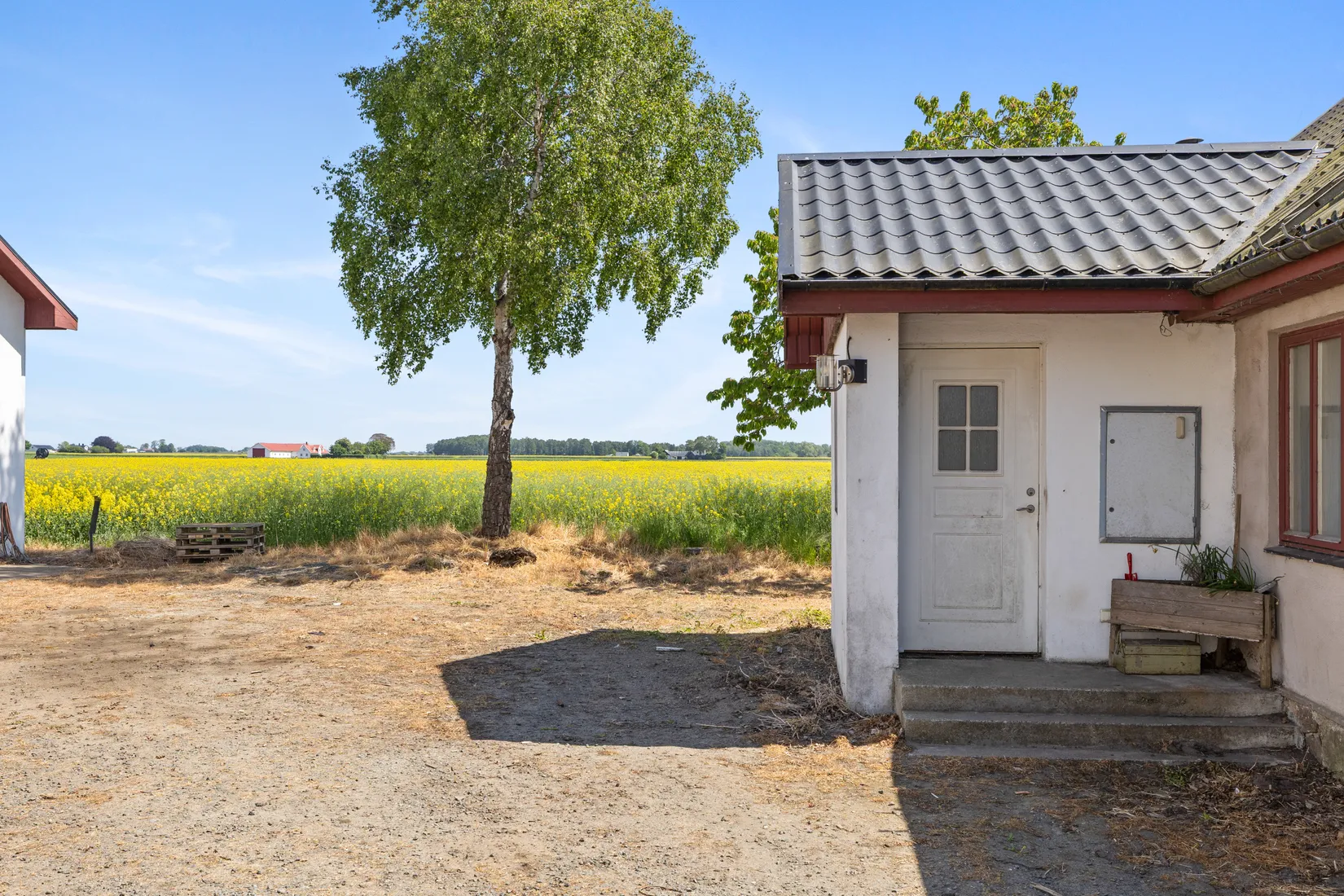 Gård/Skog, Hagestadborgsvägen 30, Hagestad, Ystad