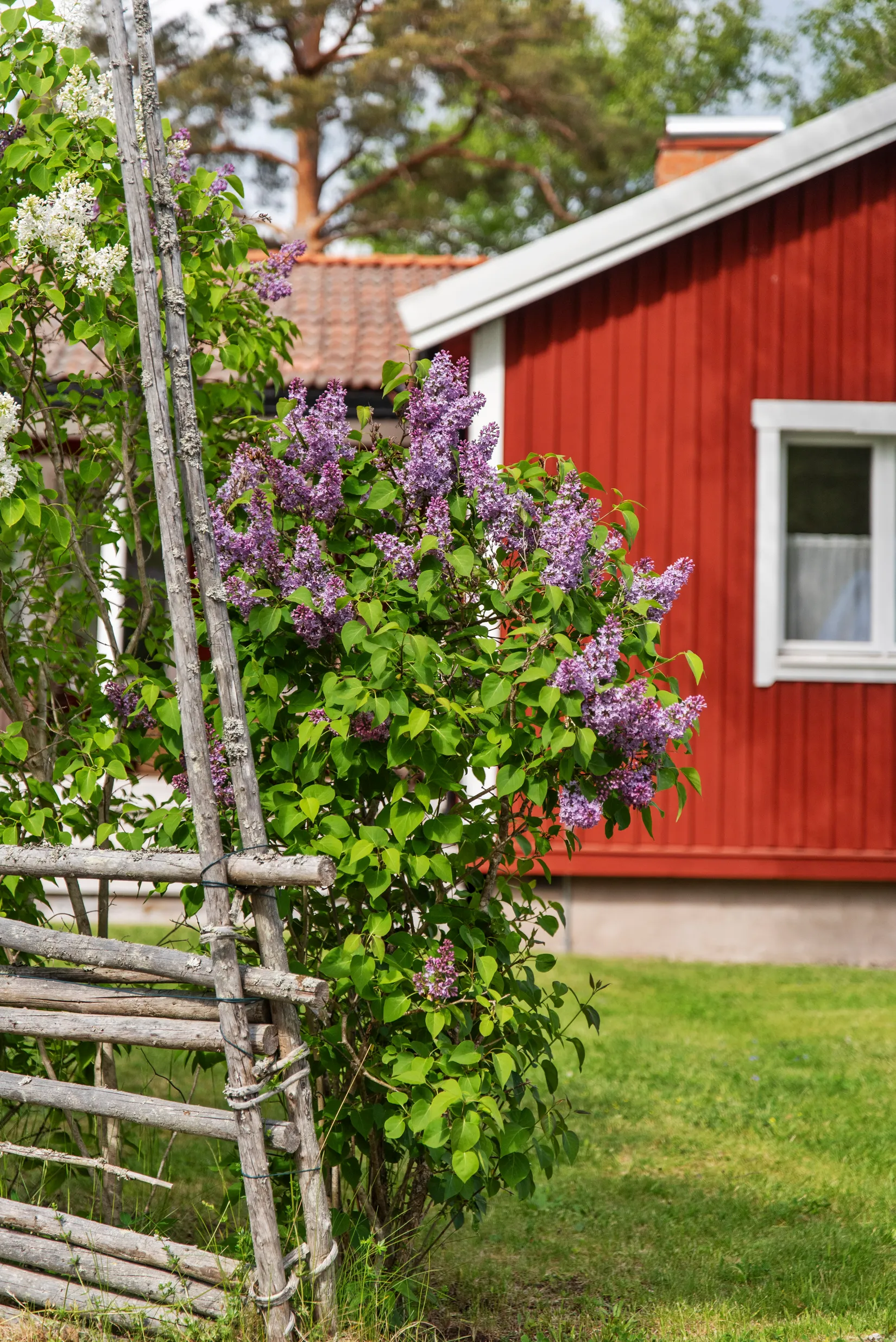 Fritidshus, Norrvedastrand 13, Vätö, Norrtälje