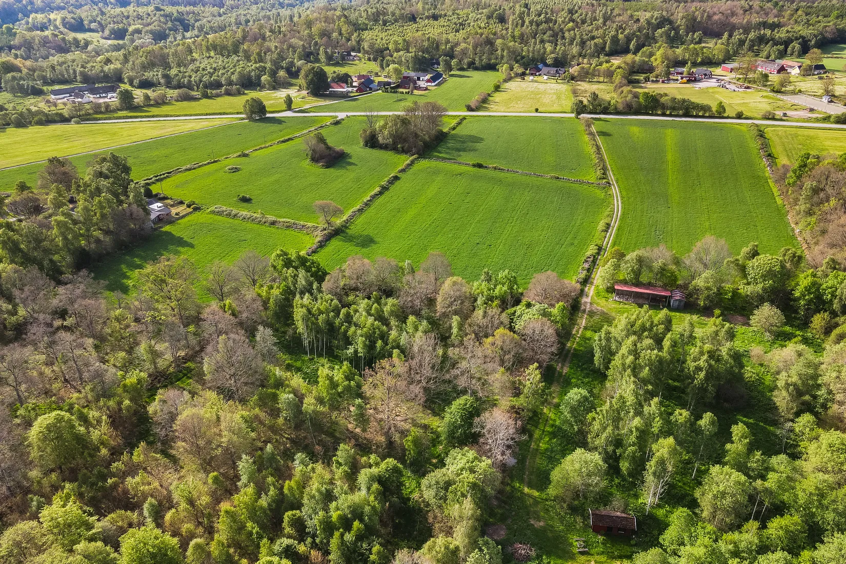 Gård/Skog, Nösdala 6032, Hässleholm