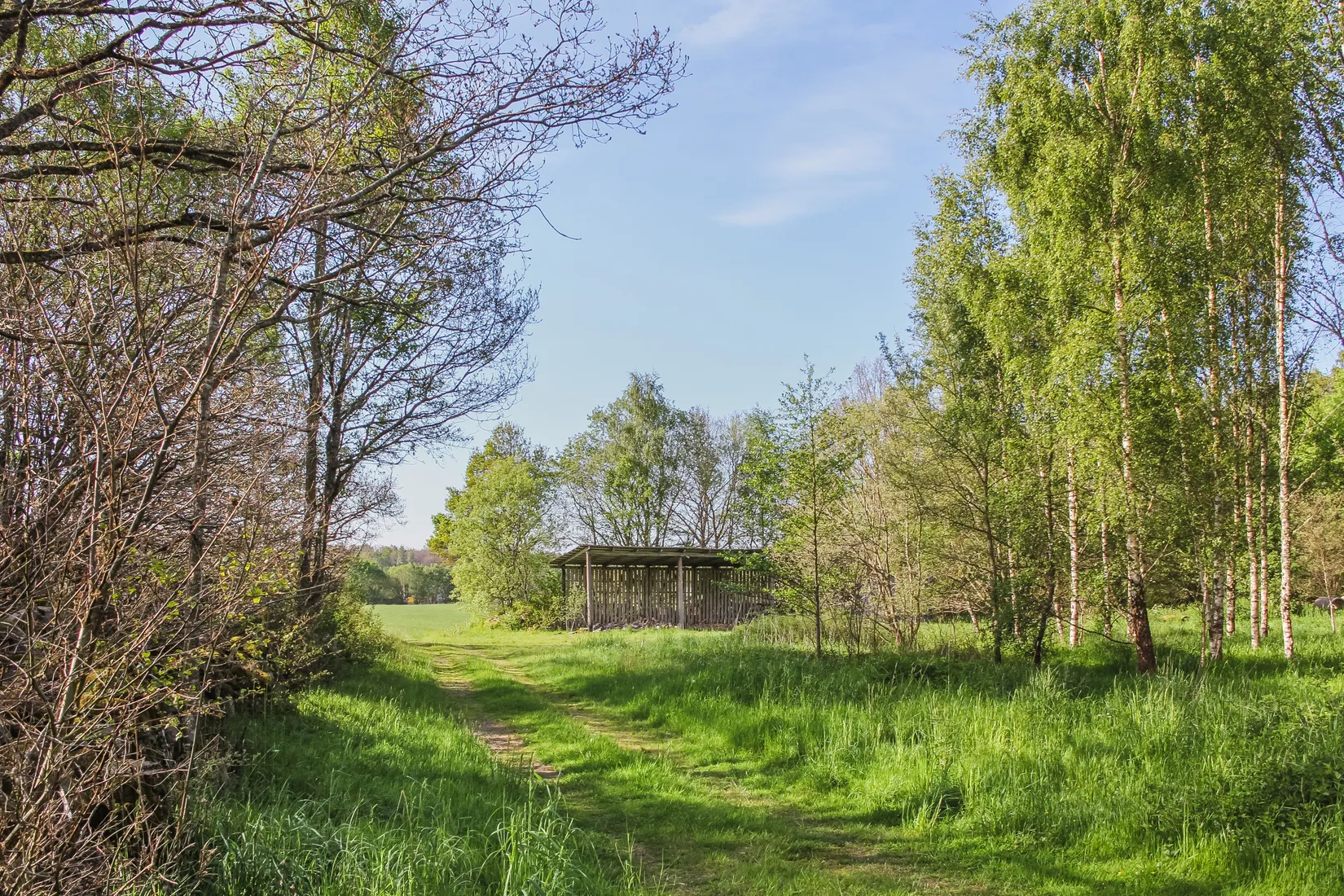 Gård/Skog, Nösdala 6032, Hässleholm