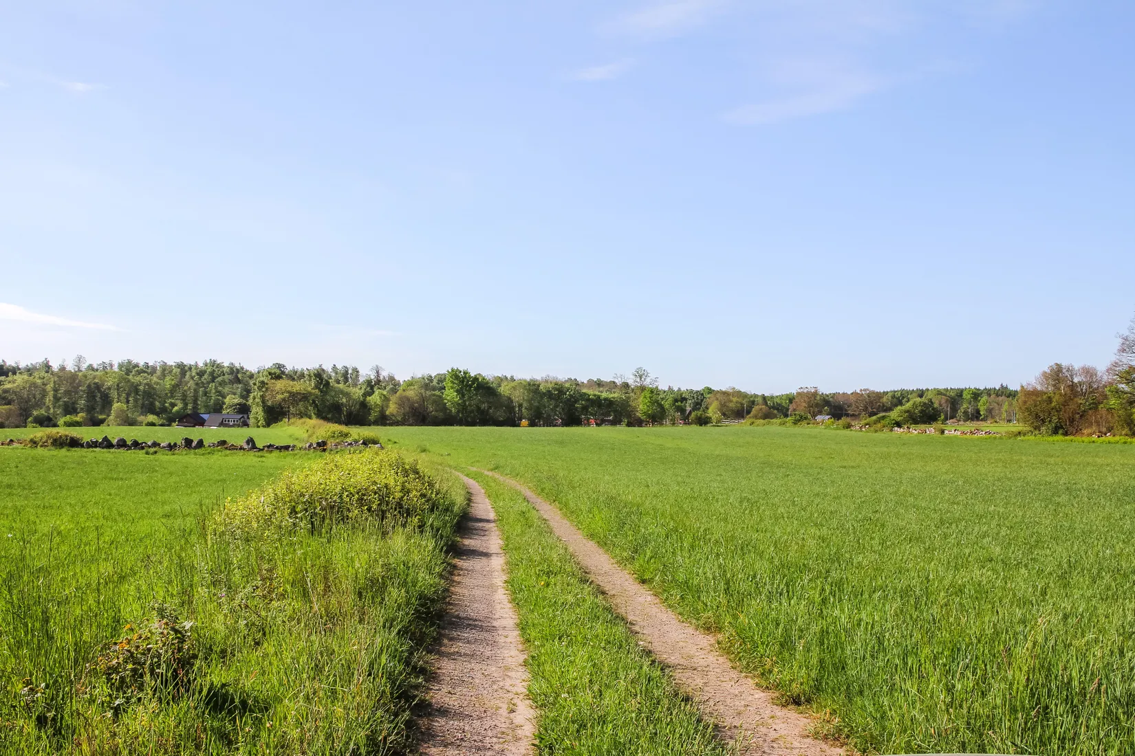 Gård/Skog, Nösdala 6032, Hässleholm