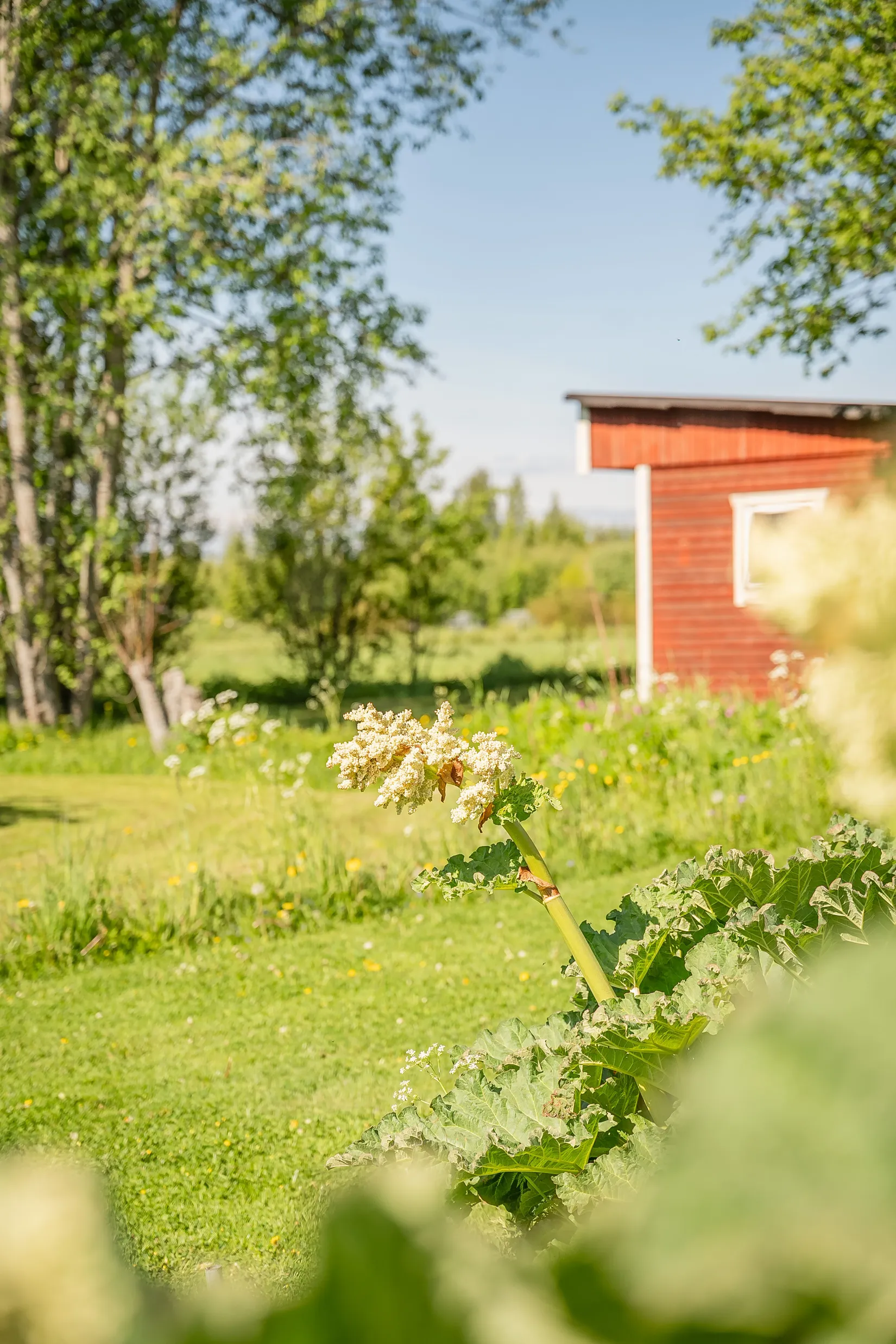Villa, Älva 156, Alnö, Centralt, Sundsvall