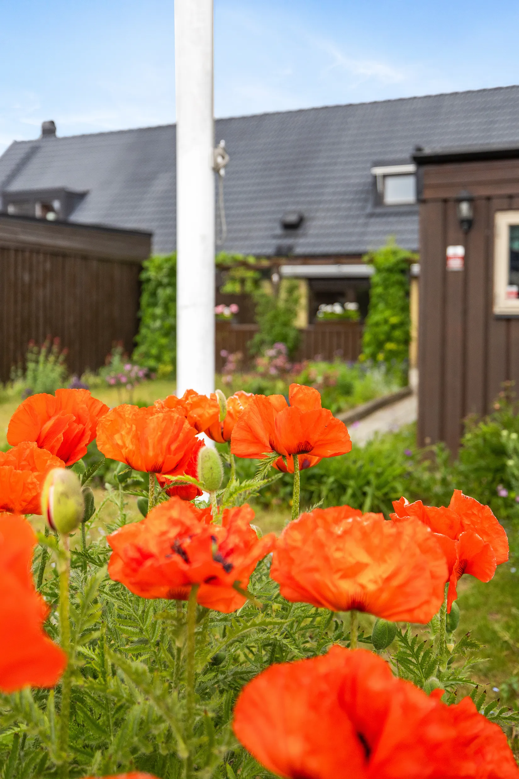 Radhus, Salladsgatan 10, Grönsaksområdet, Ystad