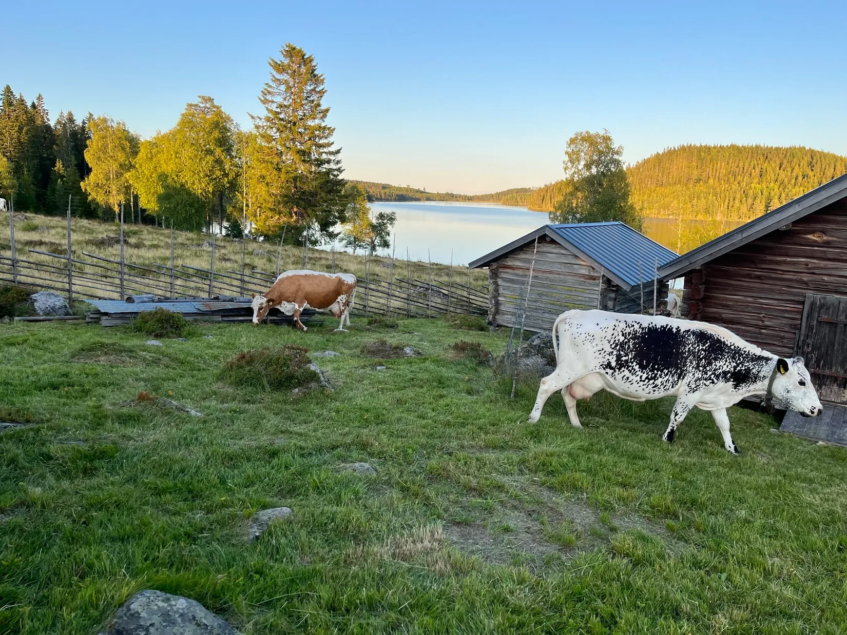 Fritidshus, Nysjön 60, Falun