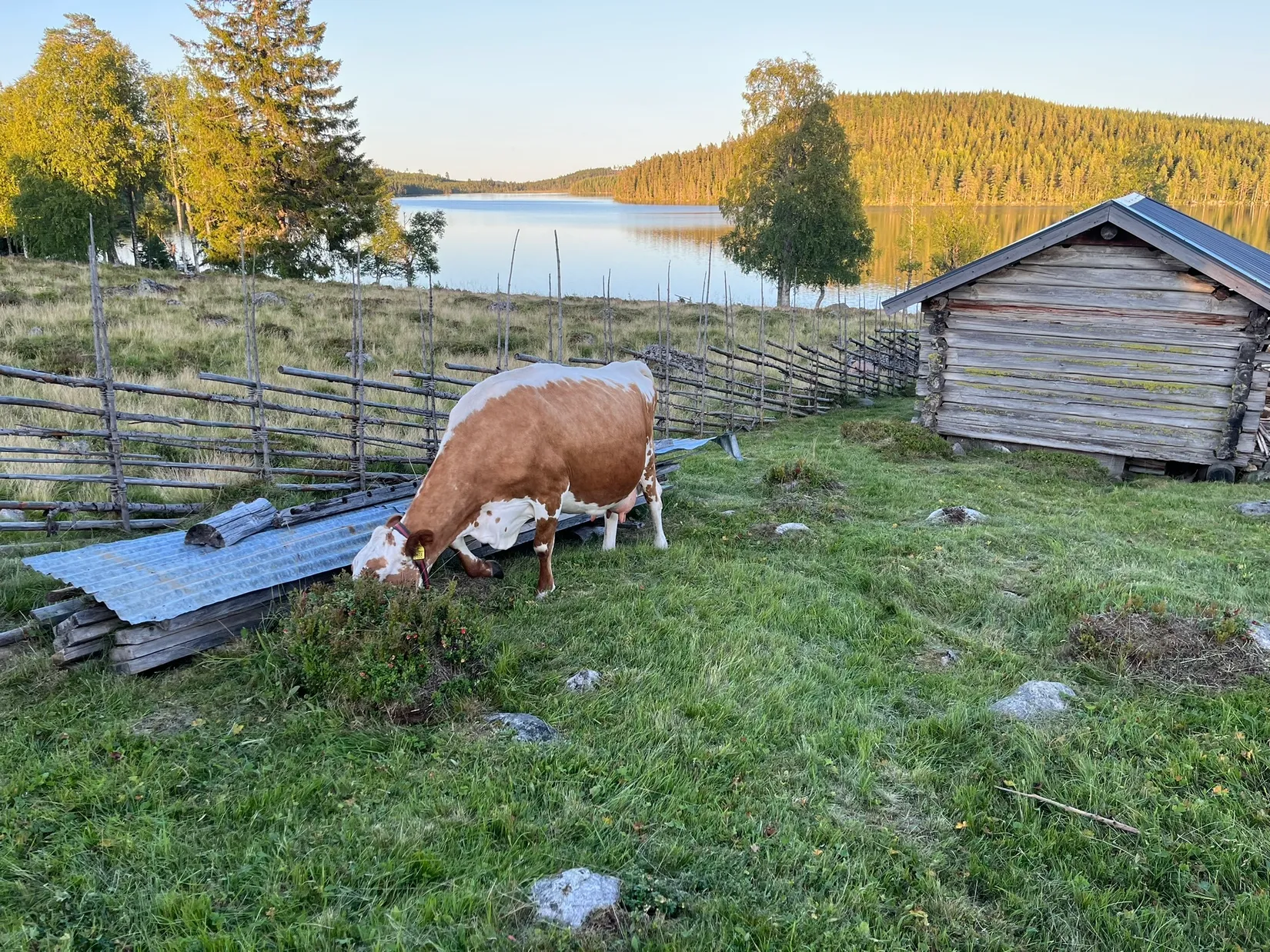 Fritidshus, Nysjön 60, Falun